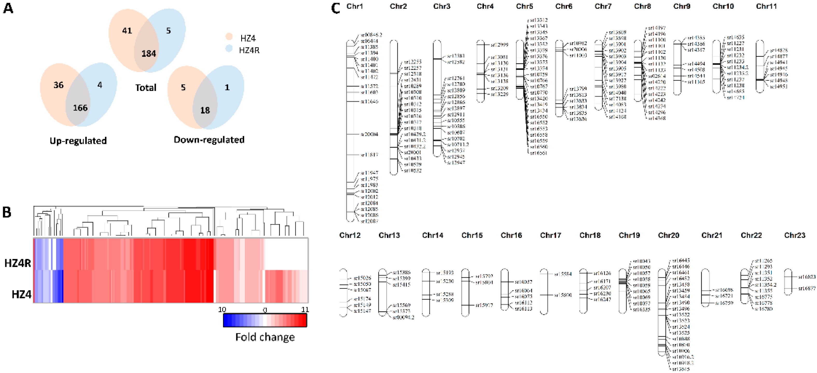 Jof 07 00150 g003 Jof 07 00150 g003