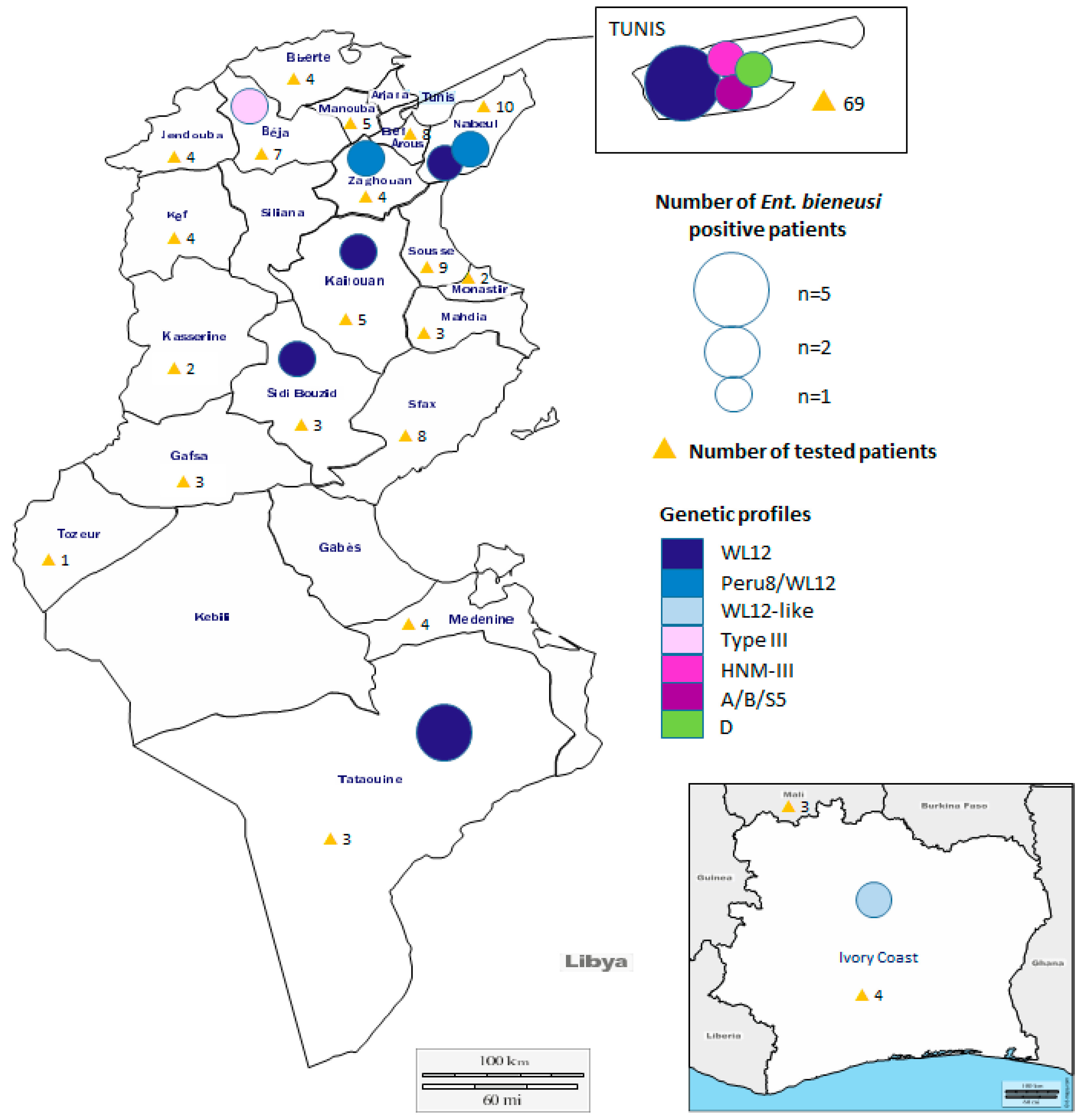 Jof 07 00161 g001 Jof 07 00161 g001