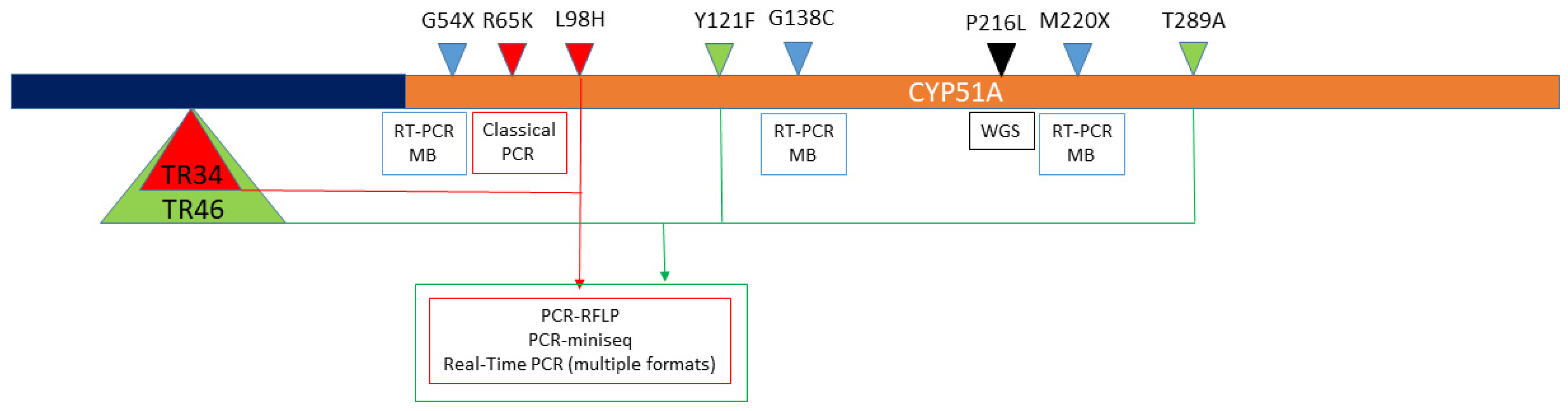 Jof 07 00197 g003 Jof 07 00197 g003