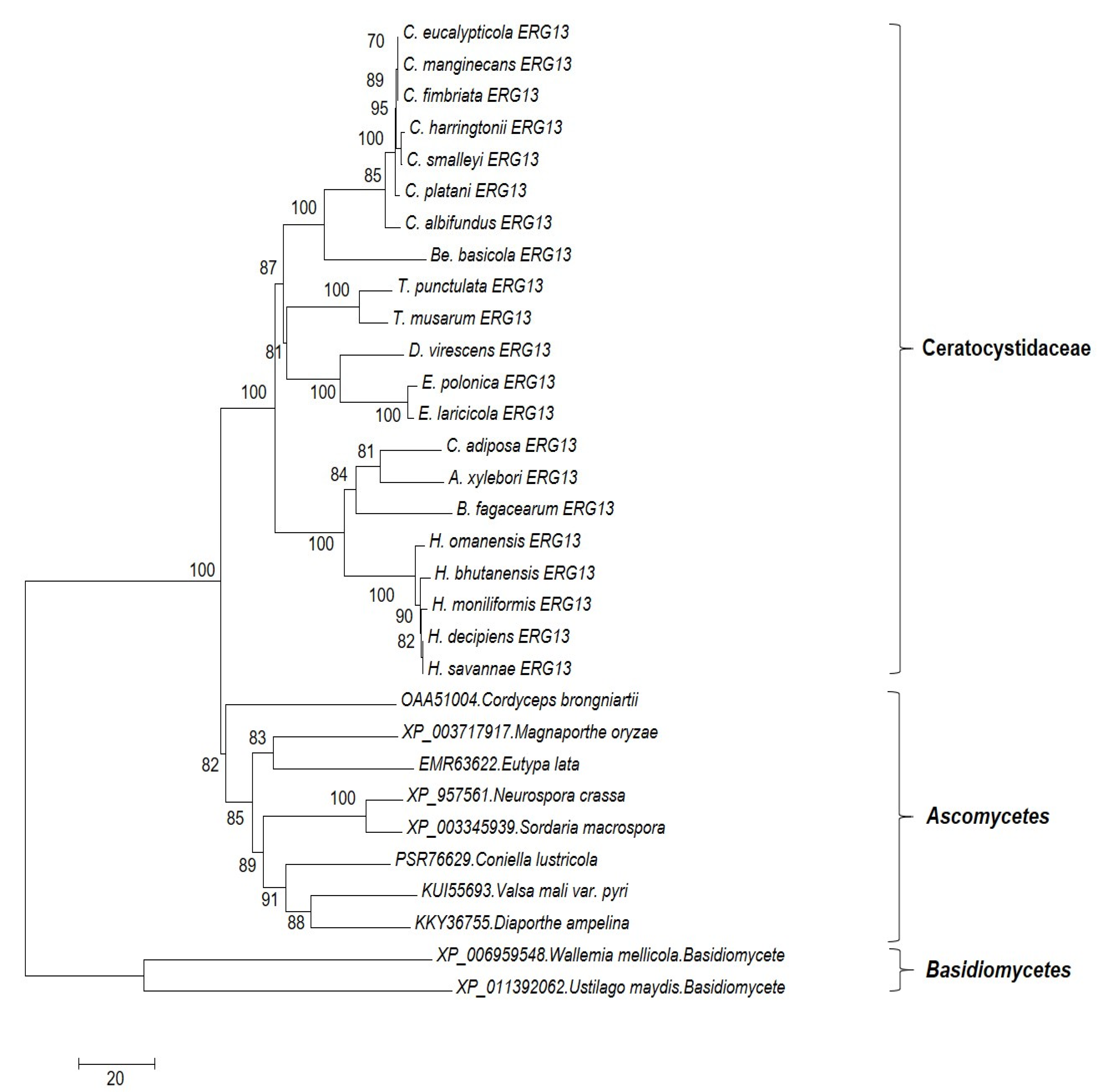 Jof 07 00237 g004 Jof 07 00237 g004