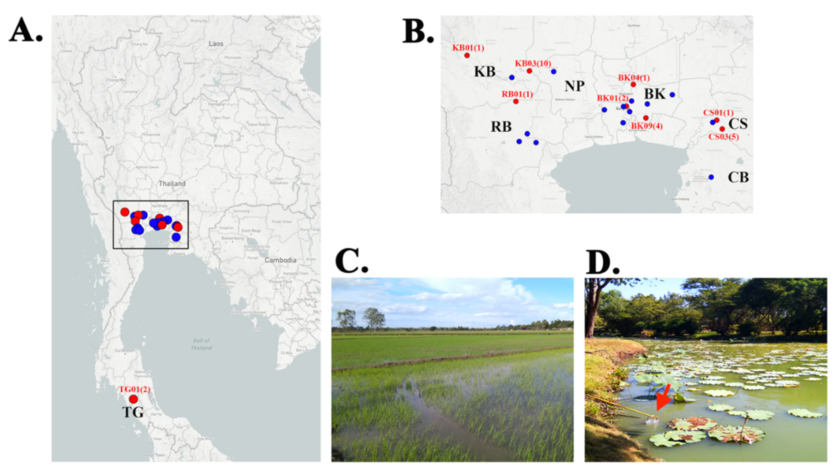 Jof 07 00242 g001 Jof 07 00242 g001