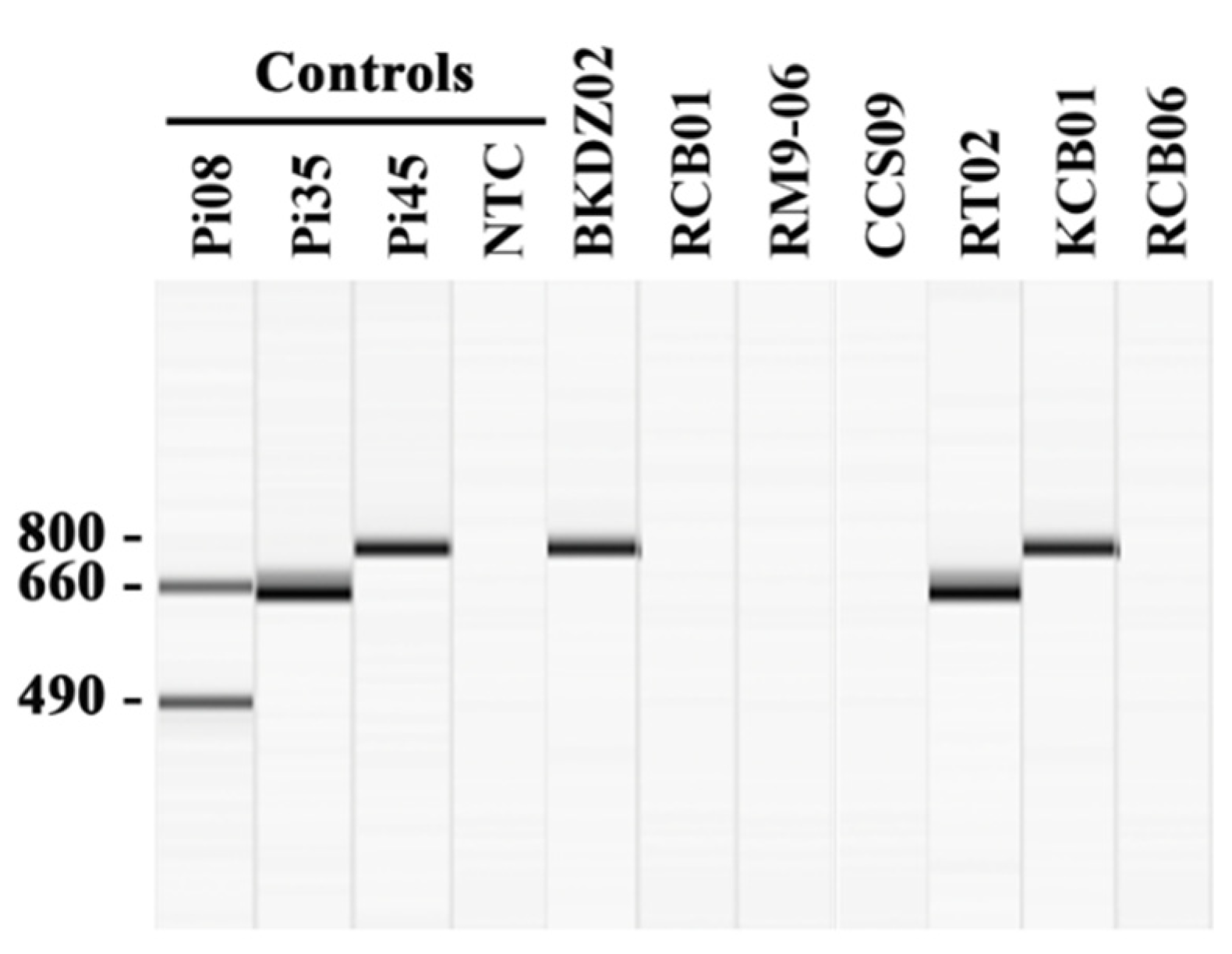 Jof 07 00242 g002 Jof 07 00242 g002