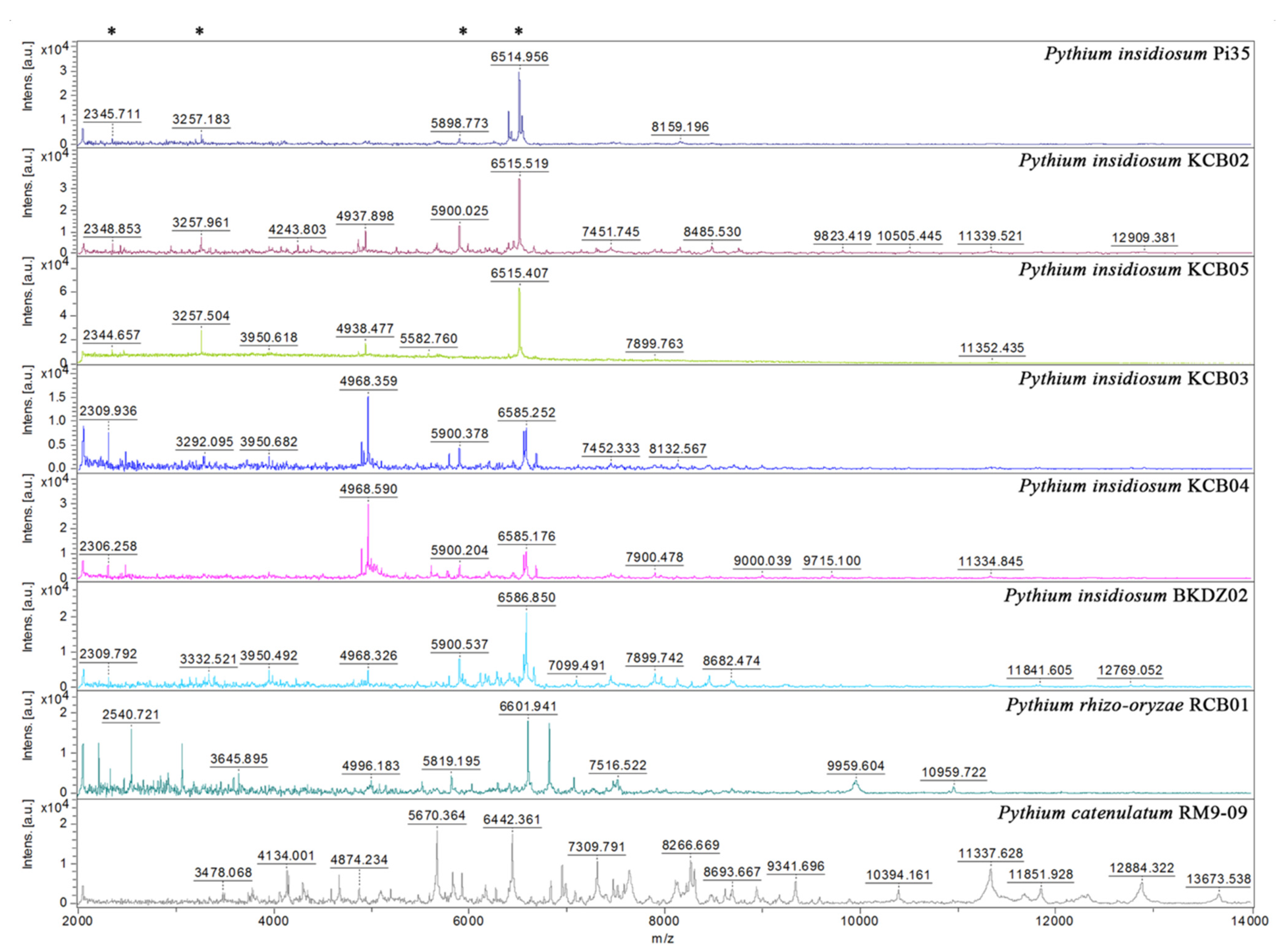 Jof 07 00242 g004 Jof 07 00242 g004