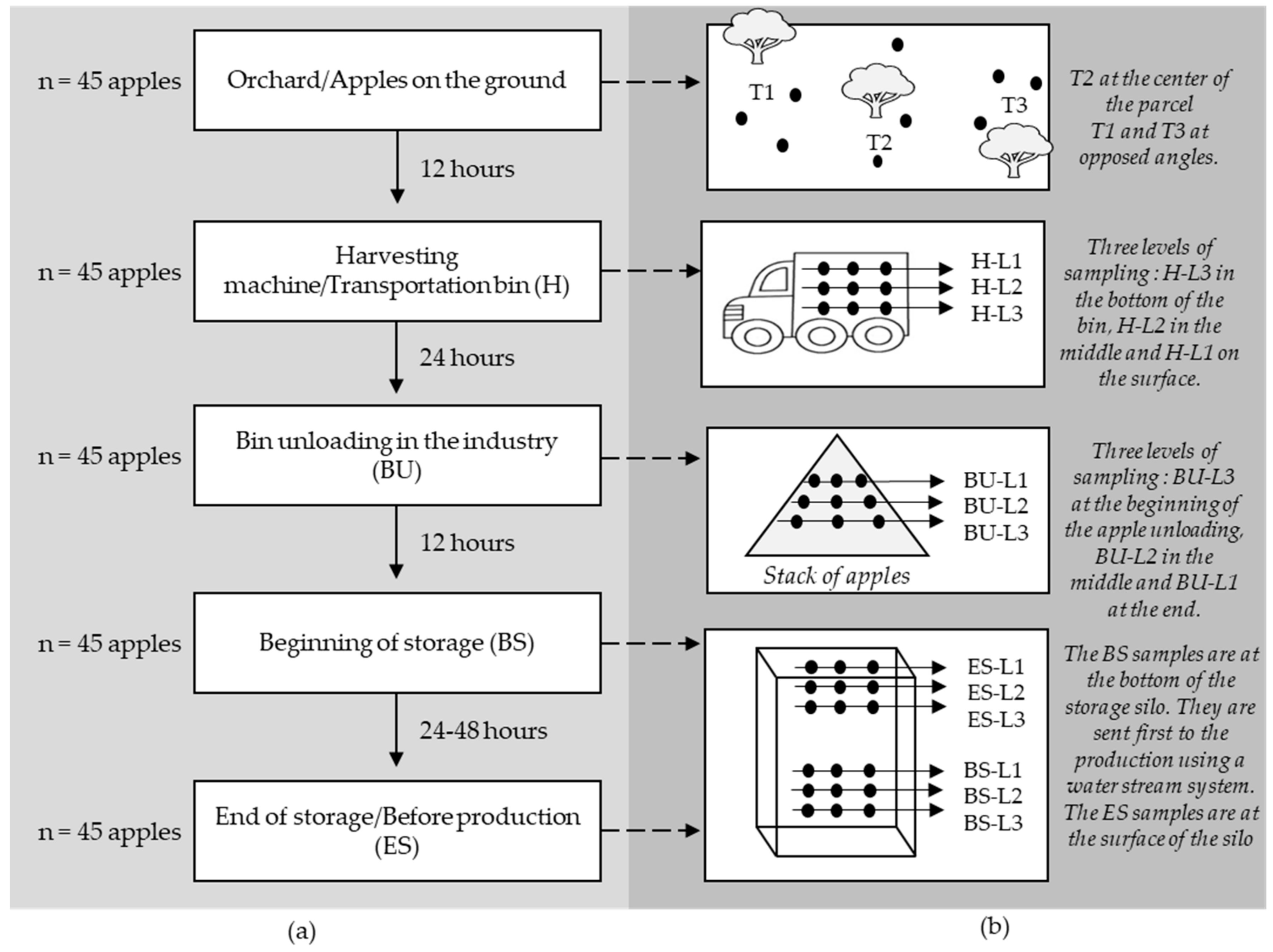Jof 07 00244 g001 Jof 07 00244 g001
