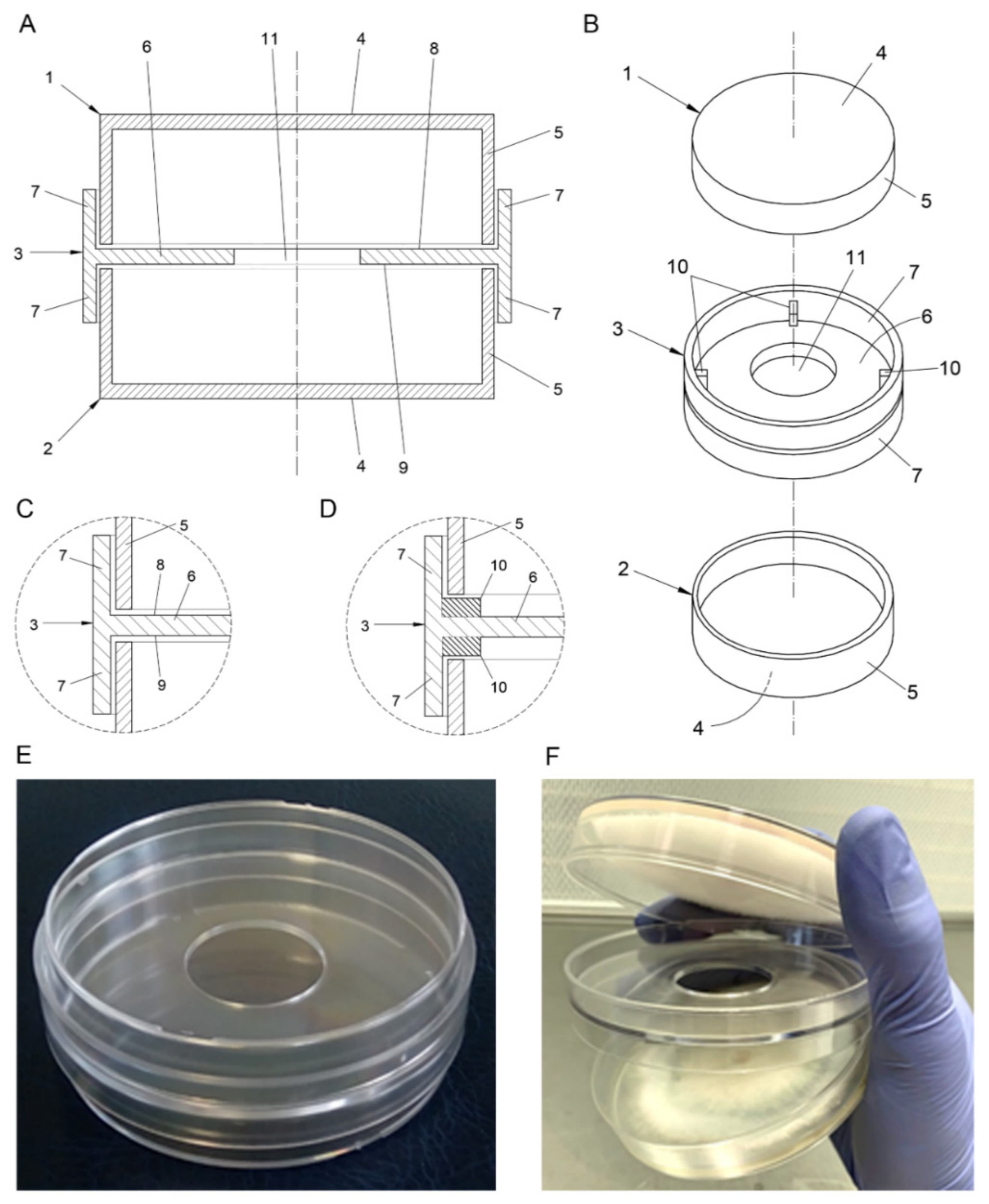 Jof 07 00248 g001 Jof 07 00248 g001