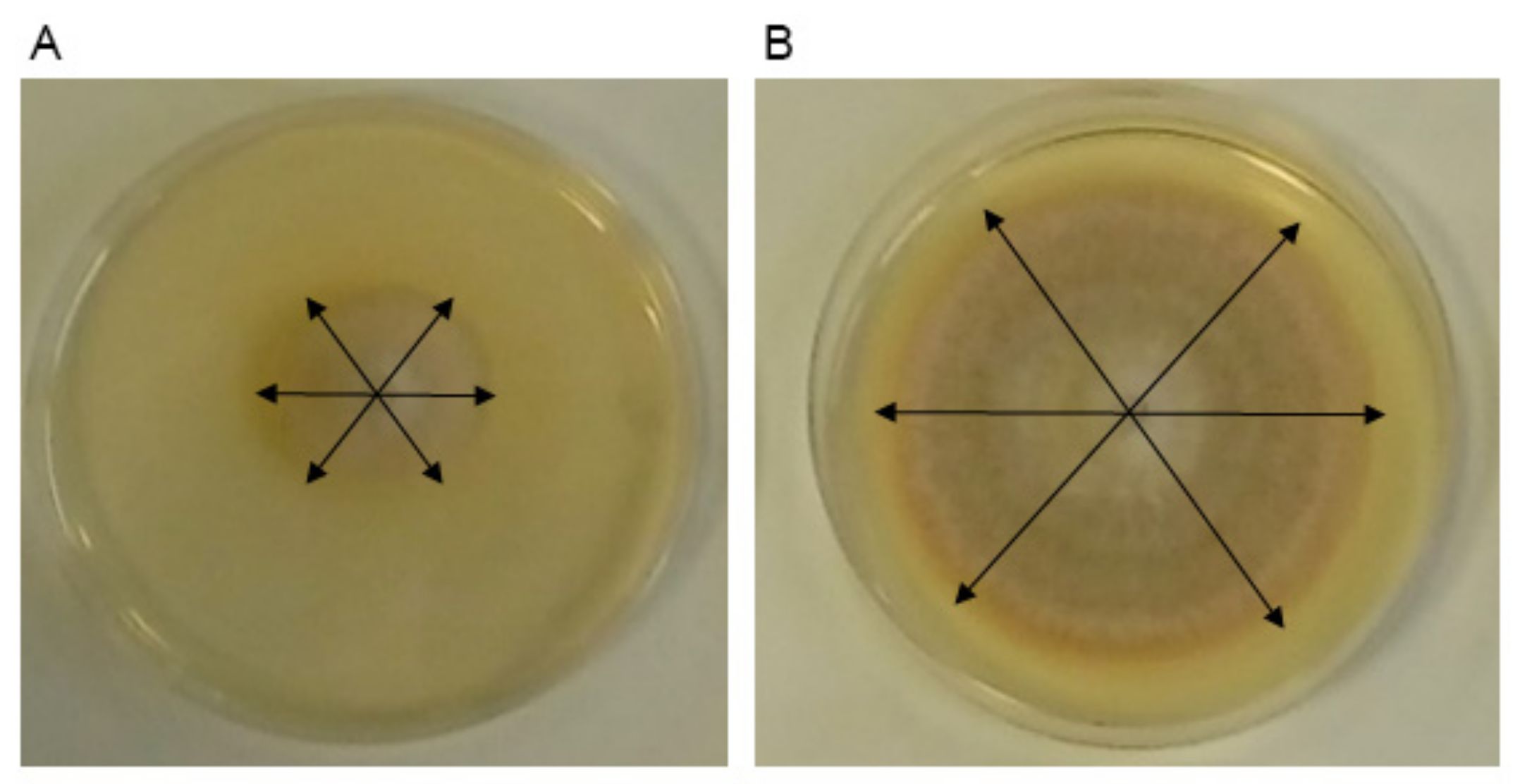 Jof 07 00248 g002 Jof 07 00248 g002