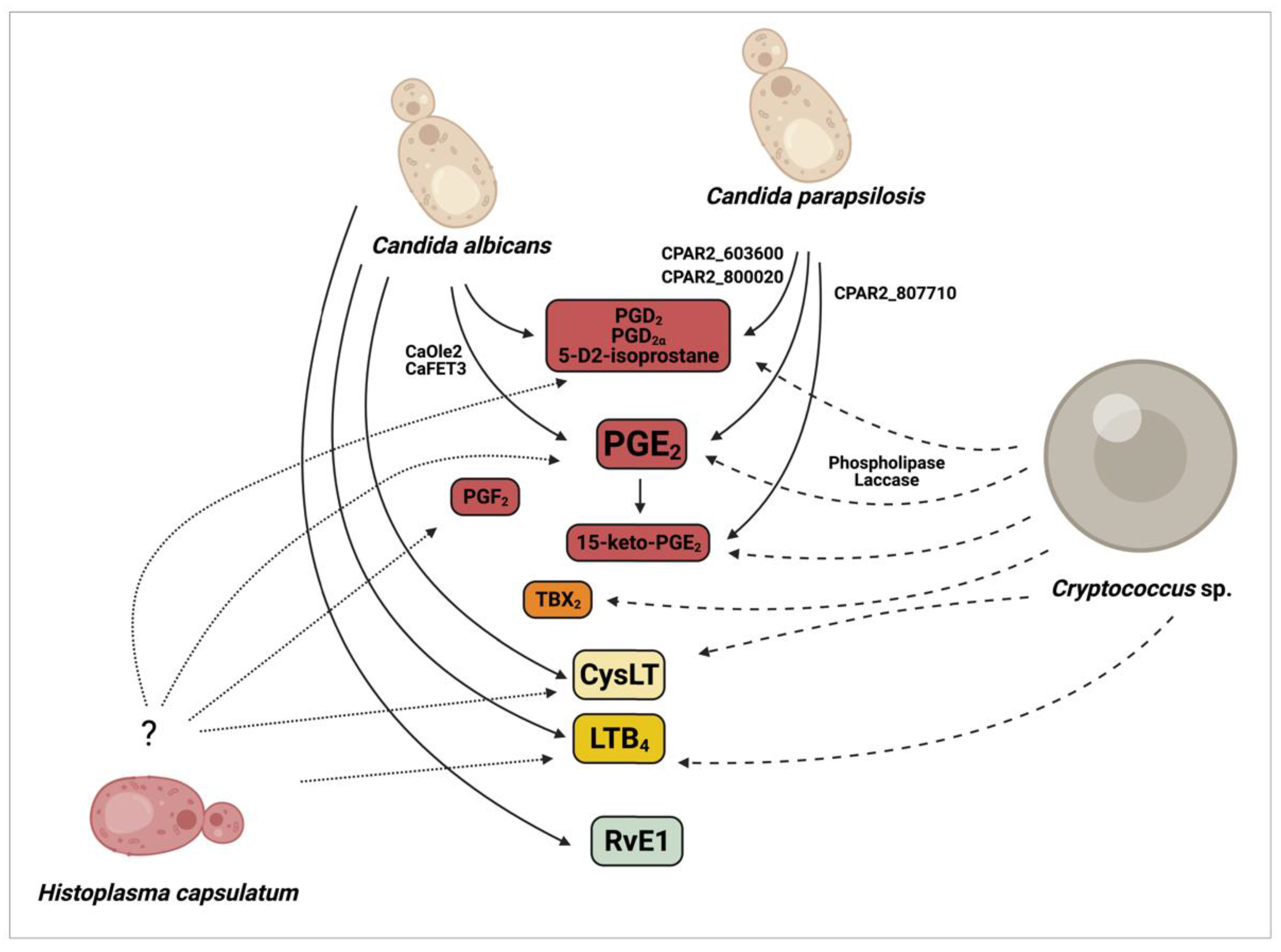 Jof 07 00254 g002 Jof 07 00254 g002