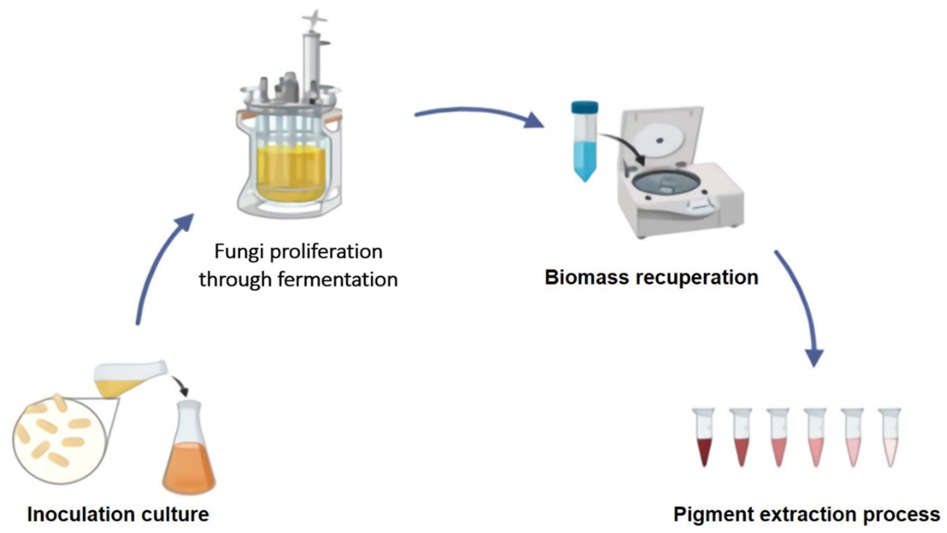 Jof 07 00326 g001 Jof 07 00326 g001