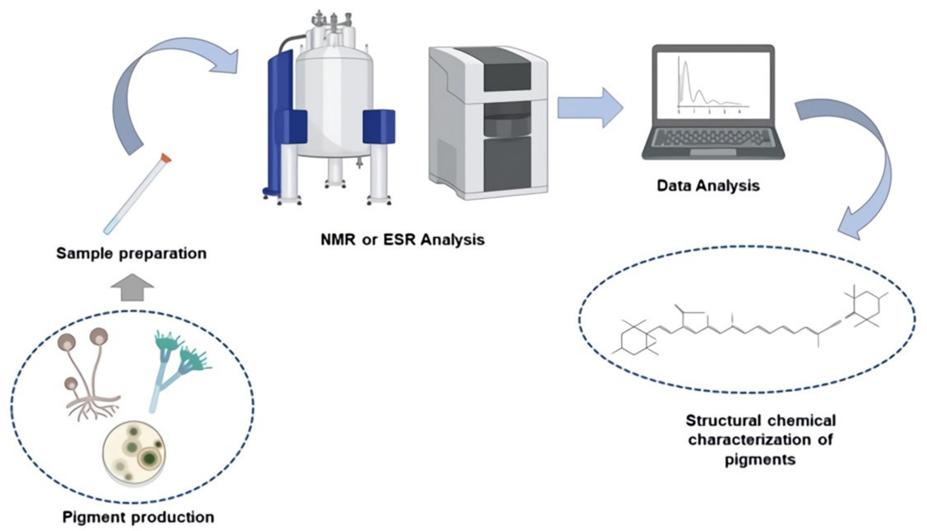 Jof 07 00326 g002 Jof 07 00326 g002