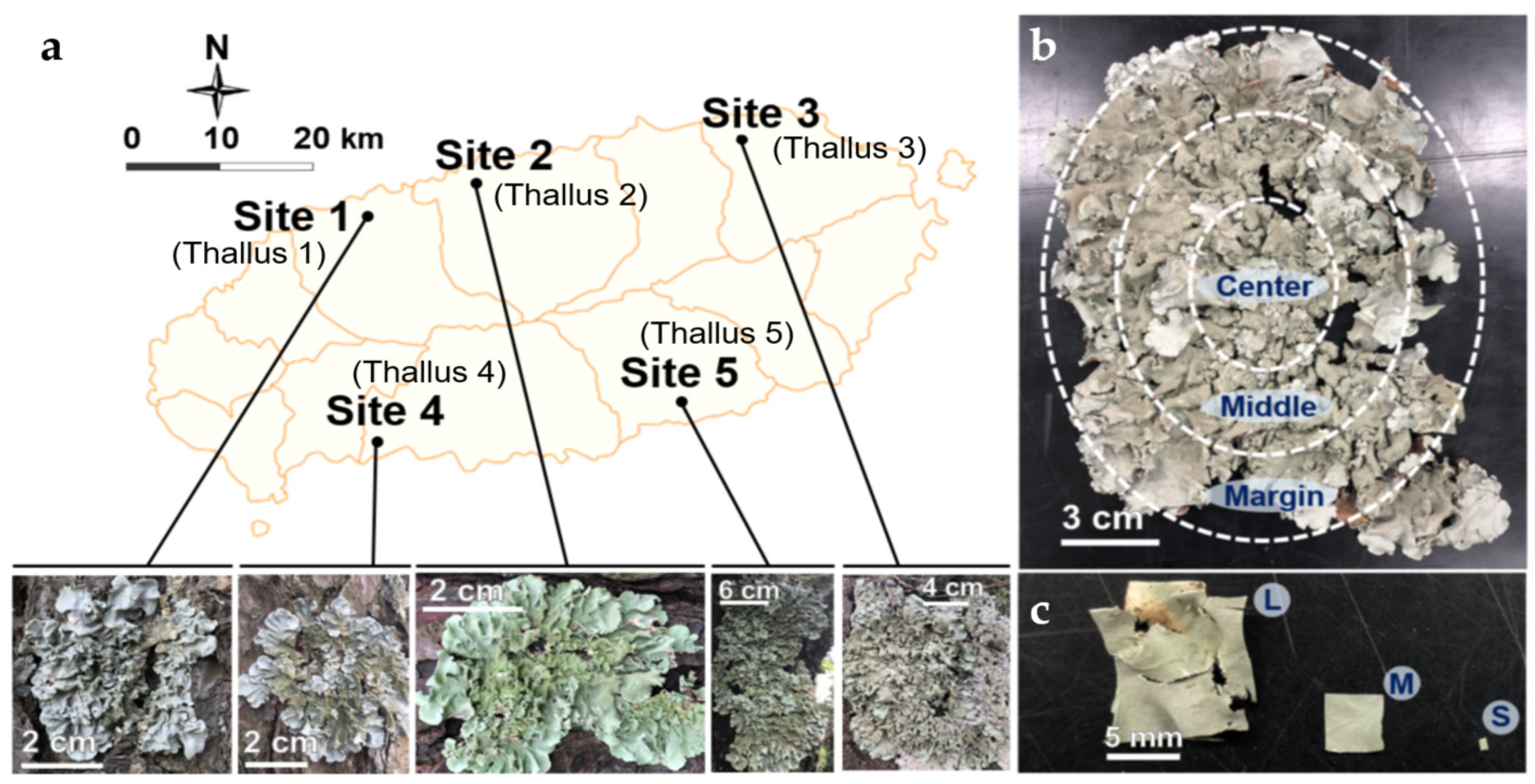 Jof 07 00335 g001 Jof 07 00335 g001