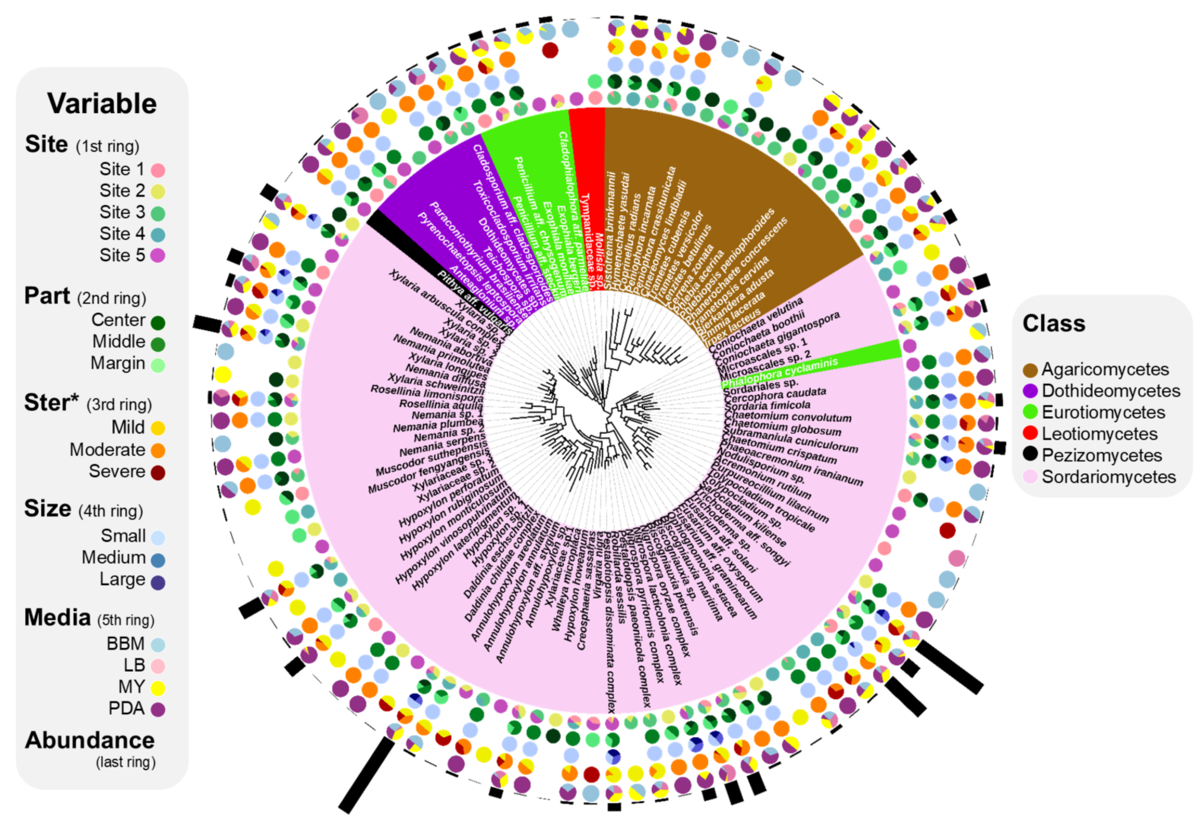 Jof 07 00335 g003 Jof 07 00335 g003