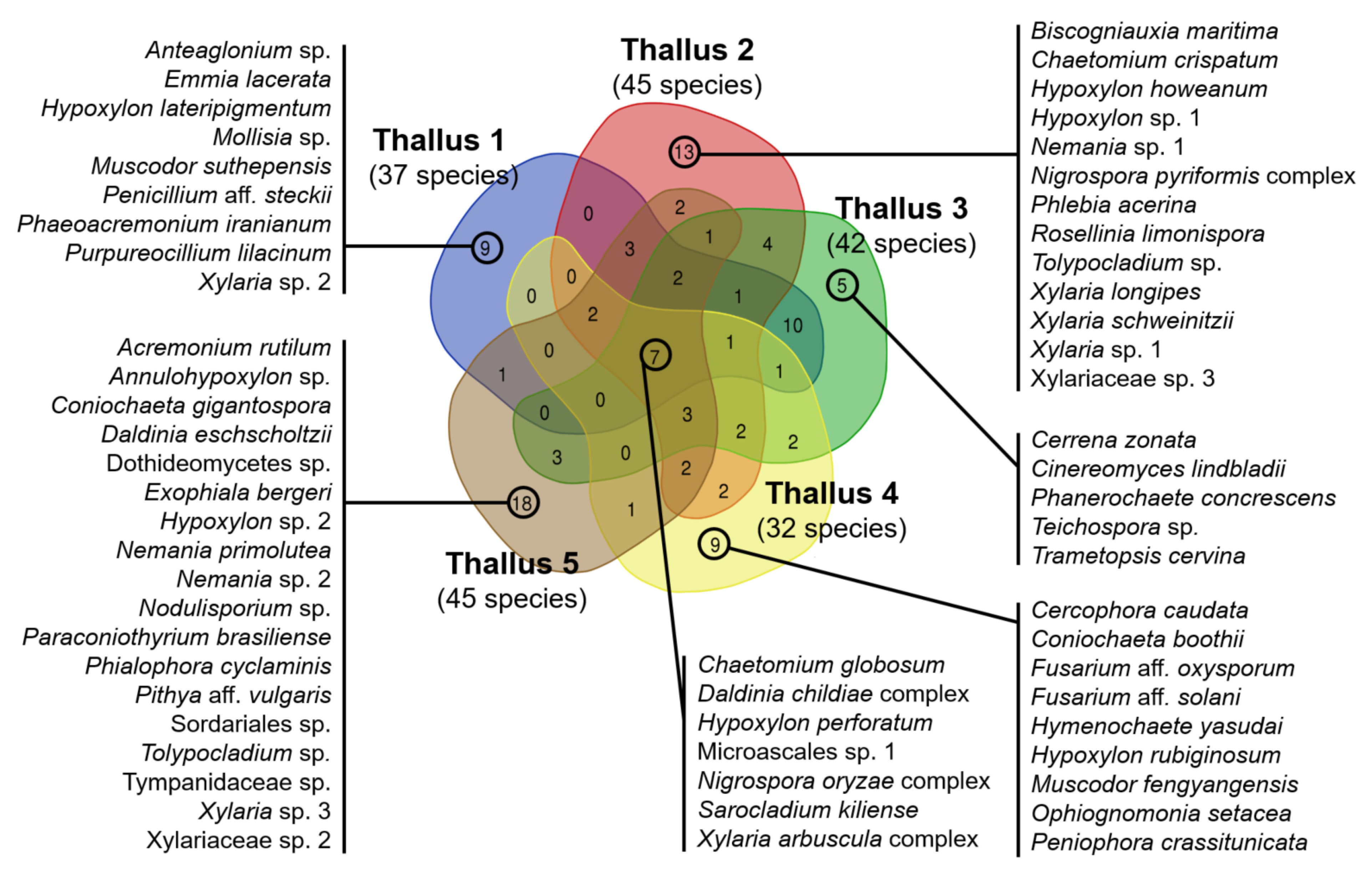 Jof 07 00335 g006 Jof 07 00335 g006