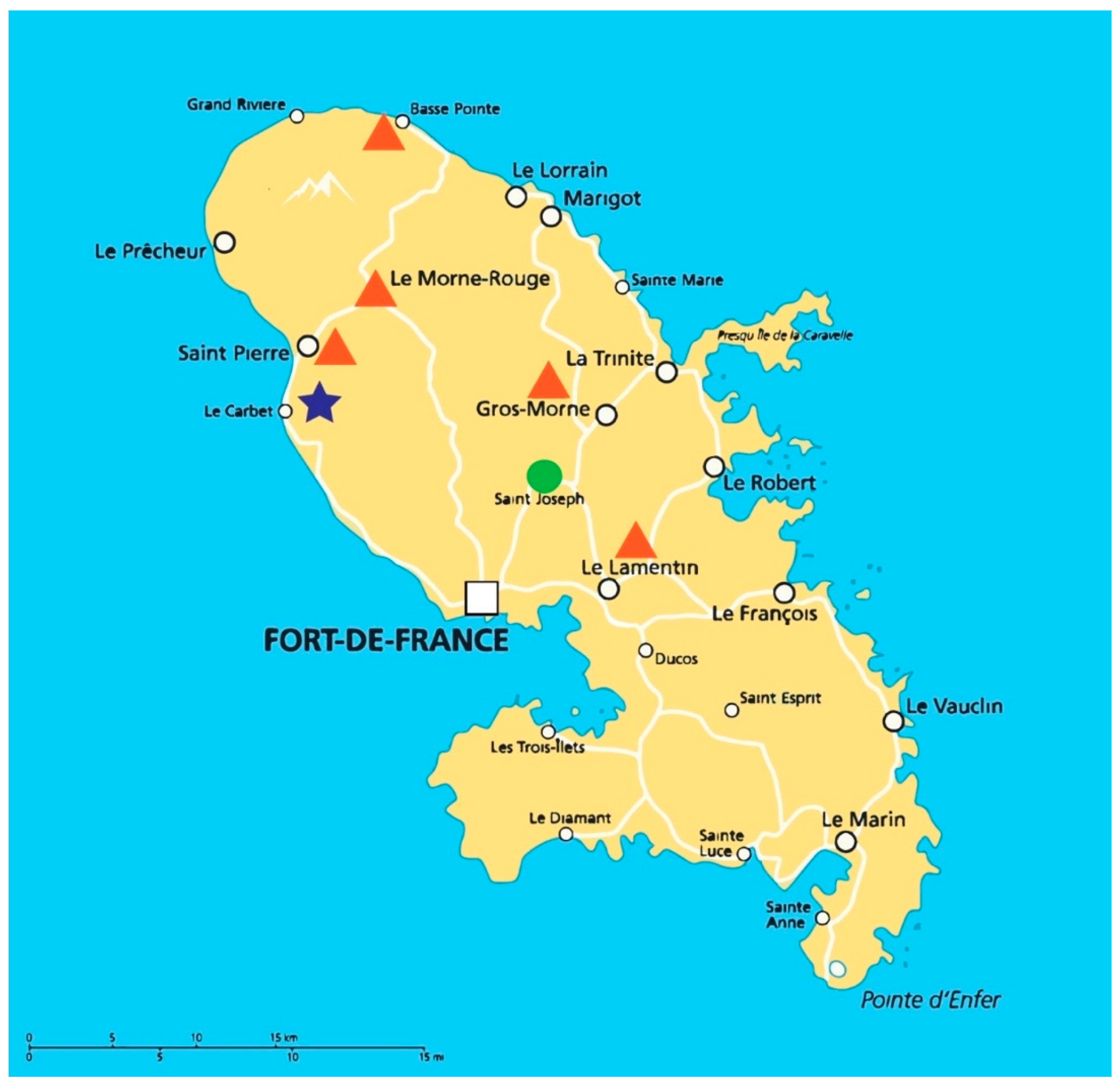 Jof 07 00355 g001 Jof 07 00355 g001