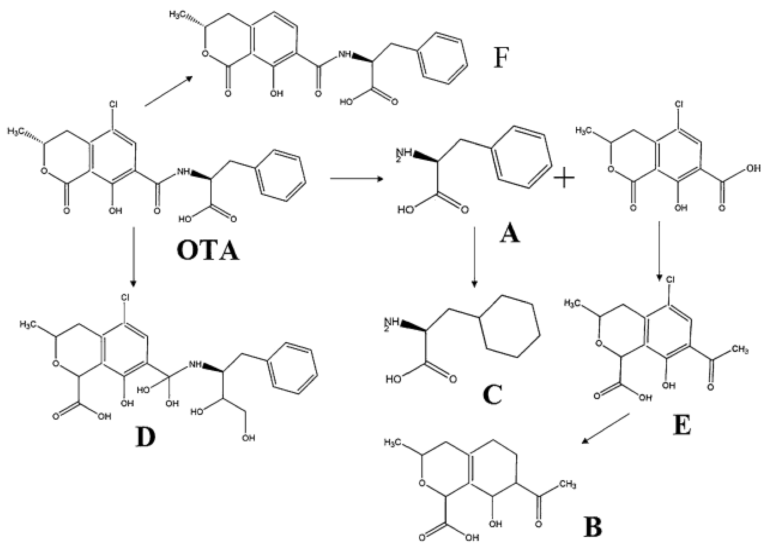 Jof 07 00395 g005 Jof 07 00395 g005