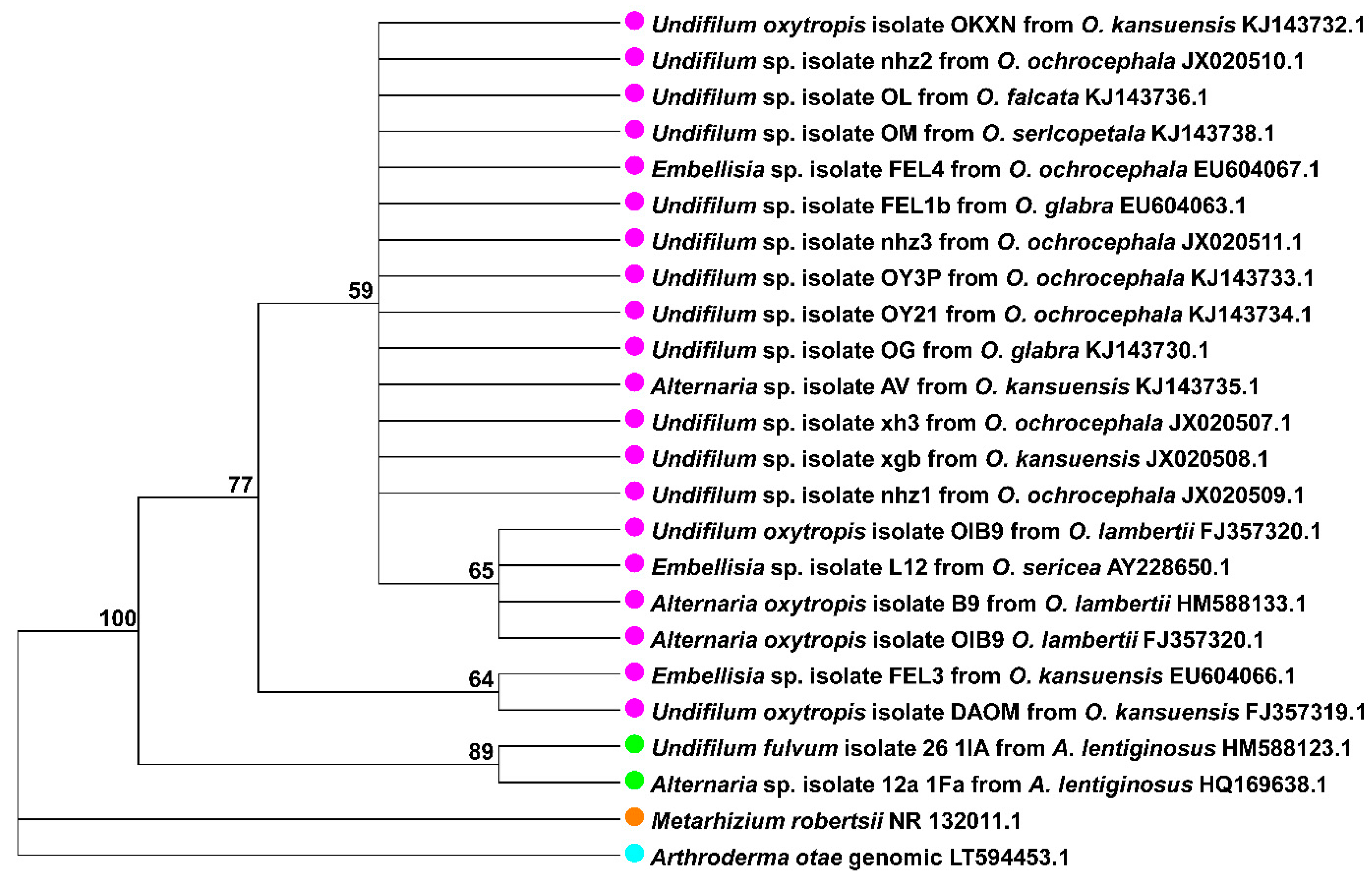 Jof 07 00400 g001 Jof 07 00400 g001