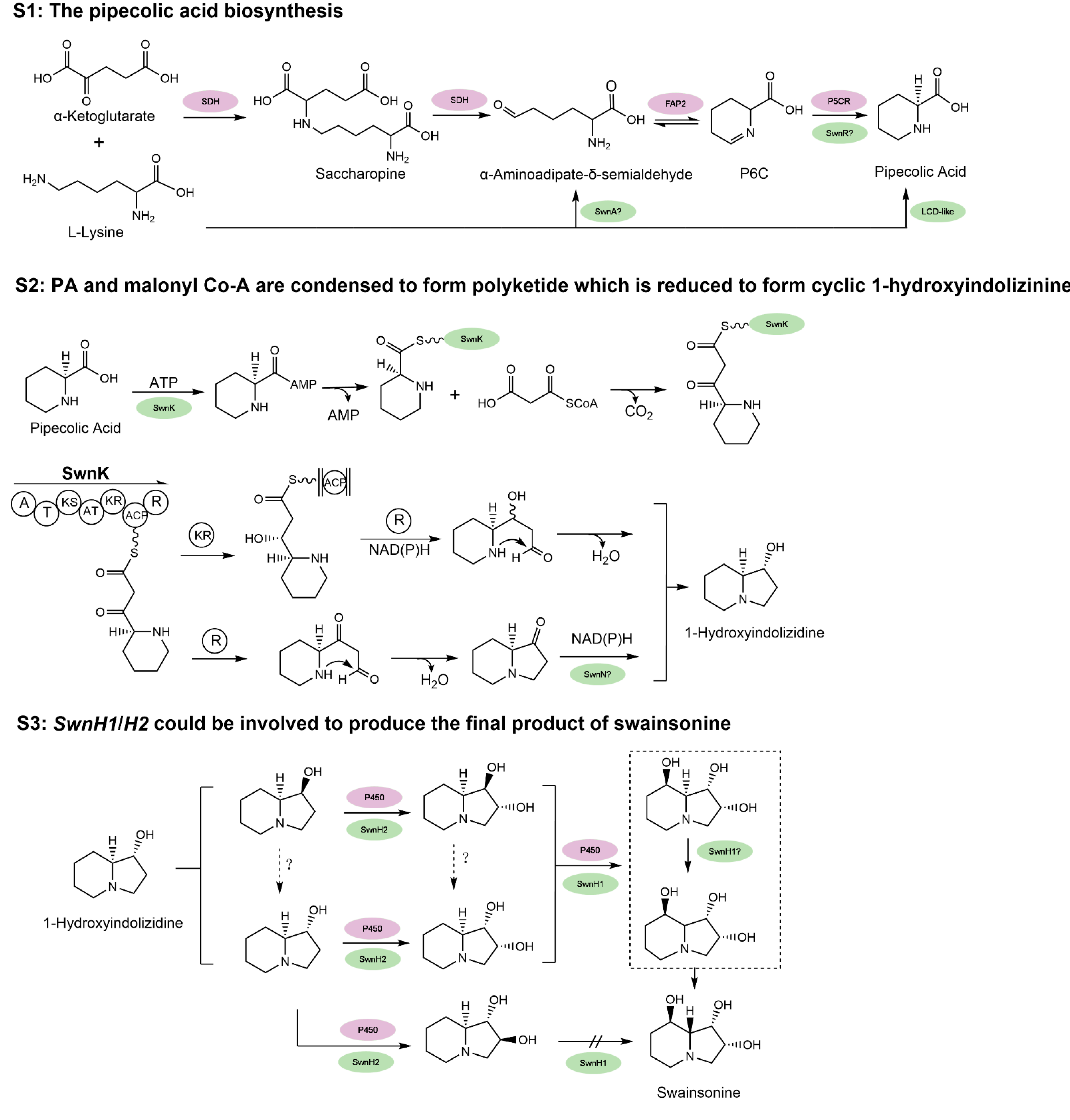 Jof 07 00400 g003 Jof 07 00400 g003