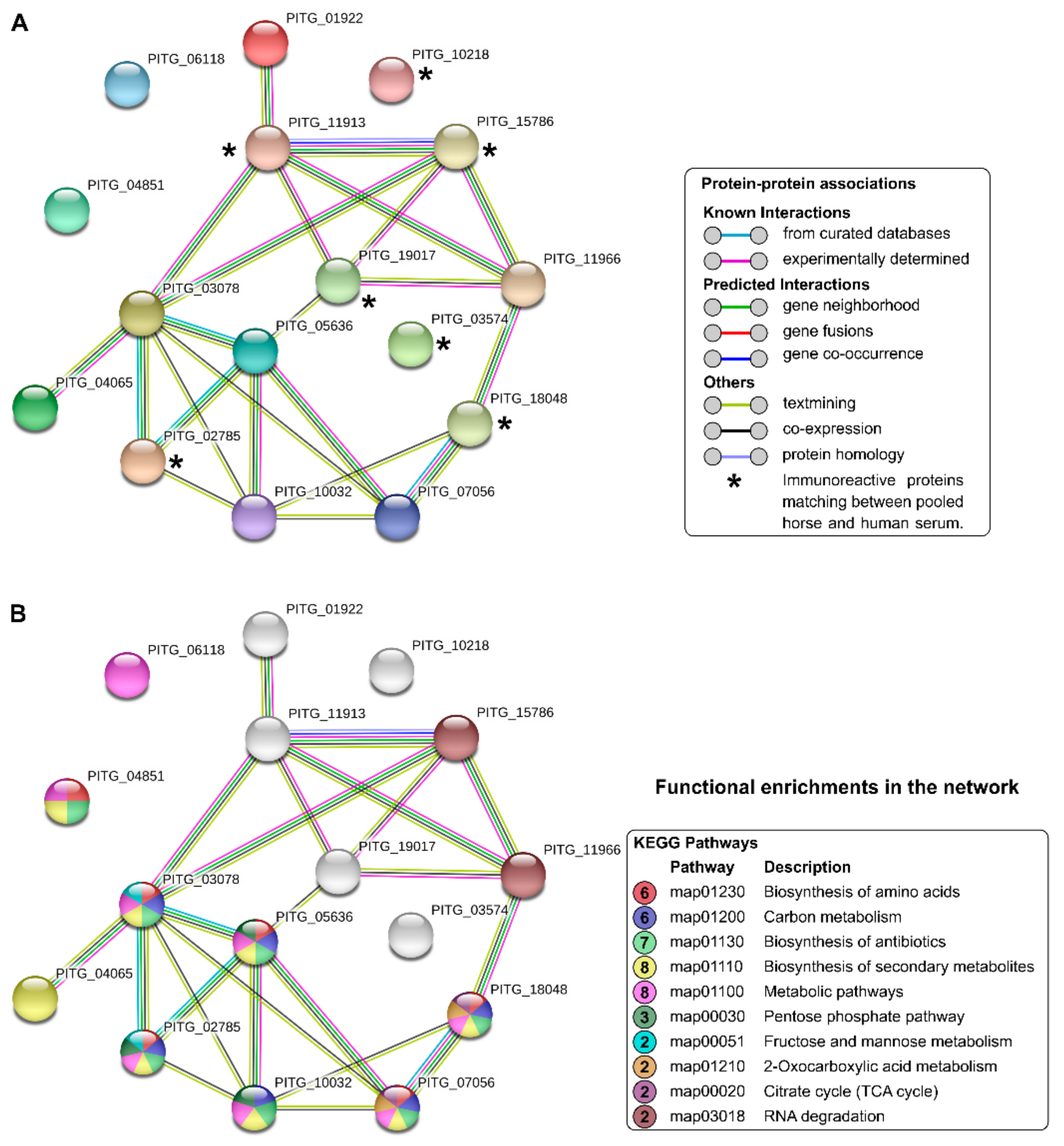Jof 07 00423 g002 Jof 07 00423 g002