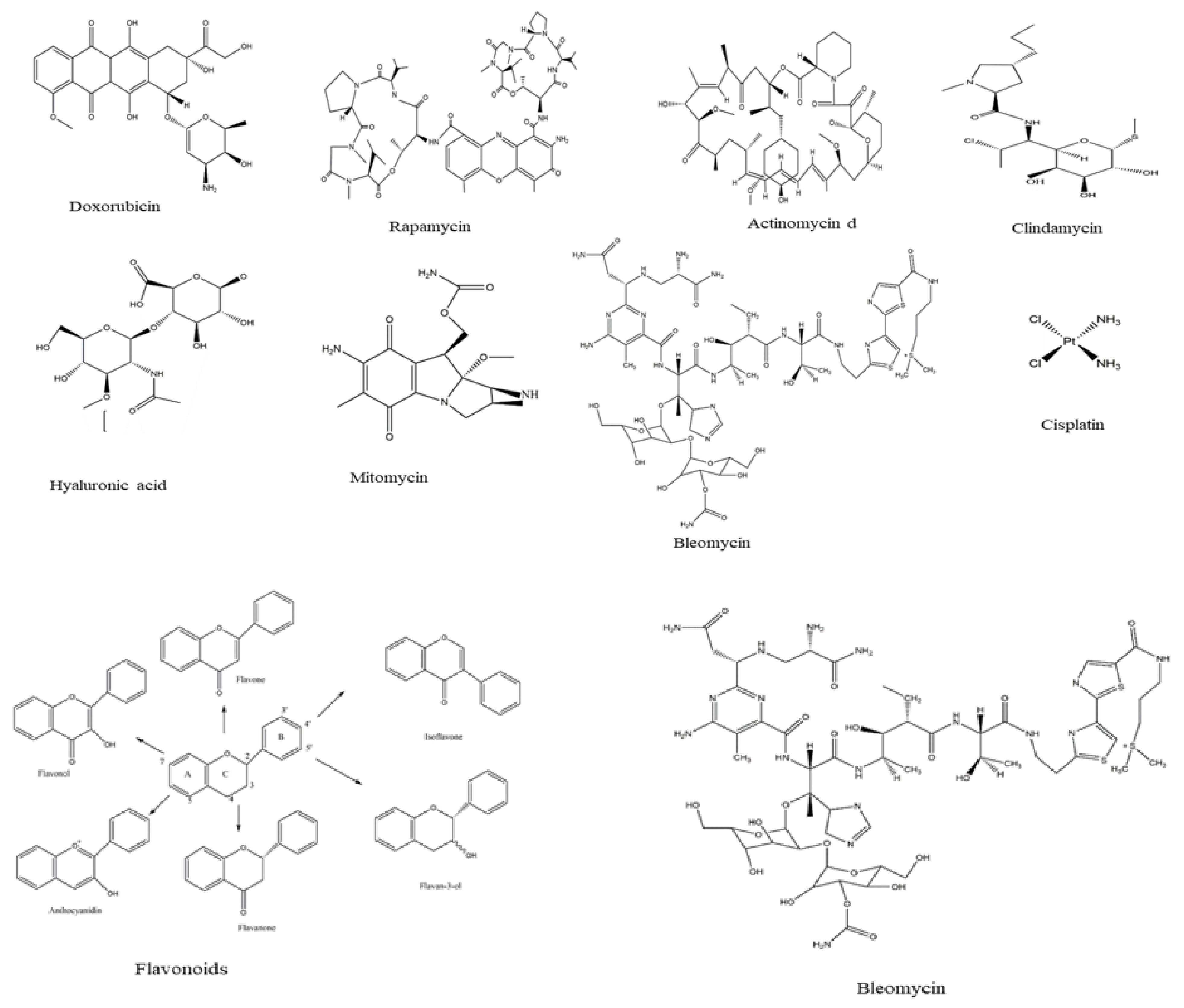 Jof 07 00436 g004 Jof 07 00436 g004