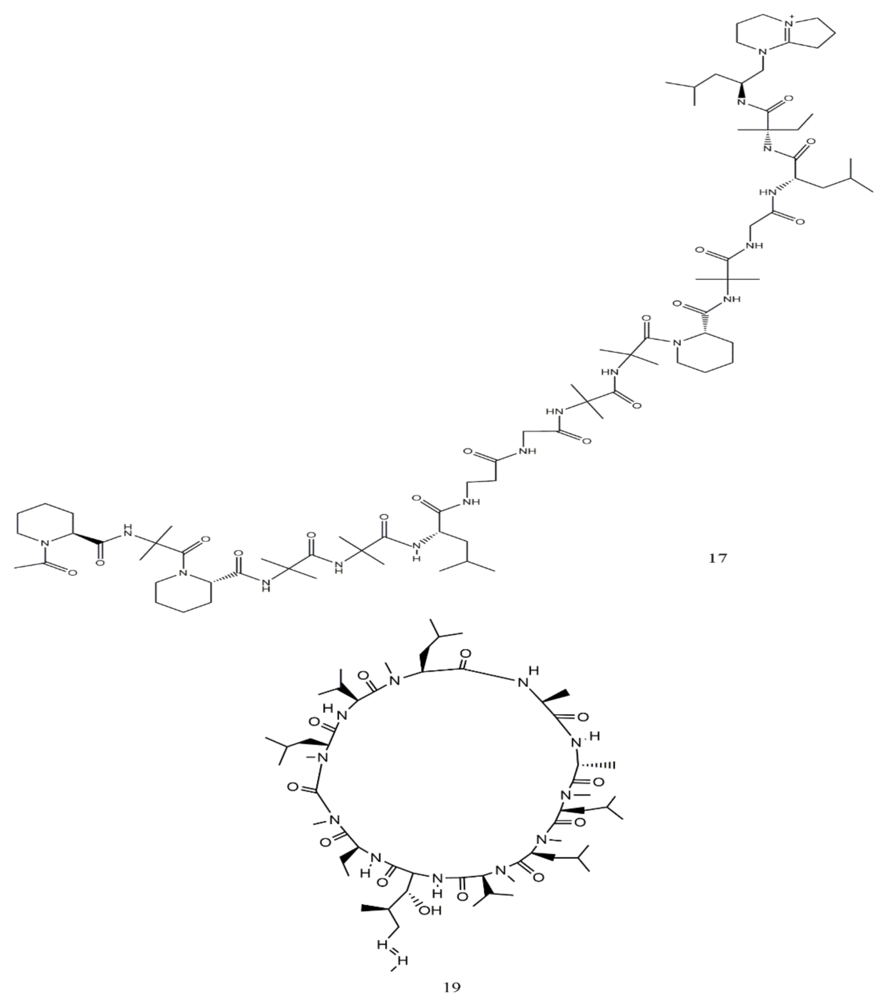 Jof 07 00436 g005b Jof 07 00436 g005b