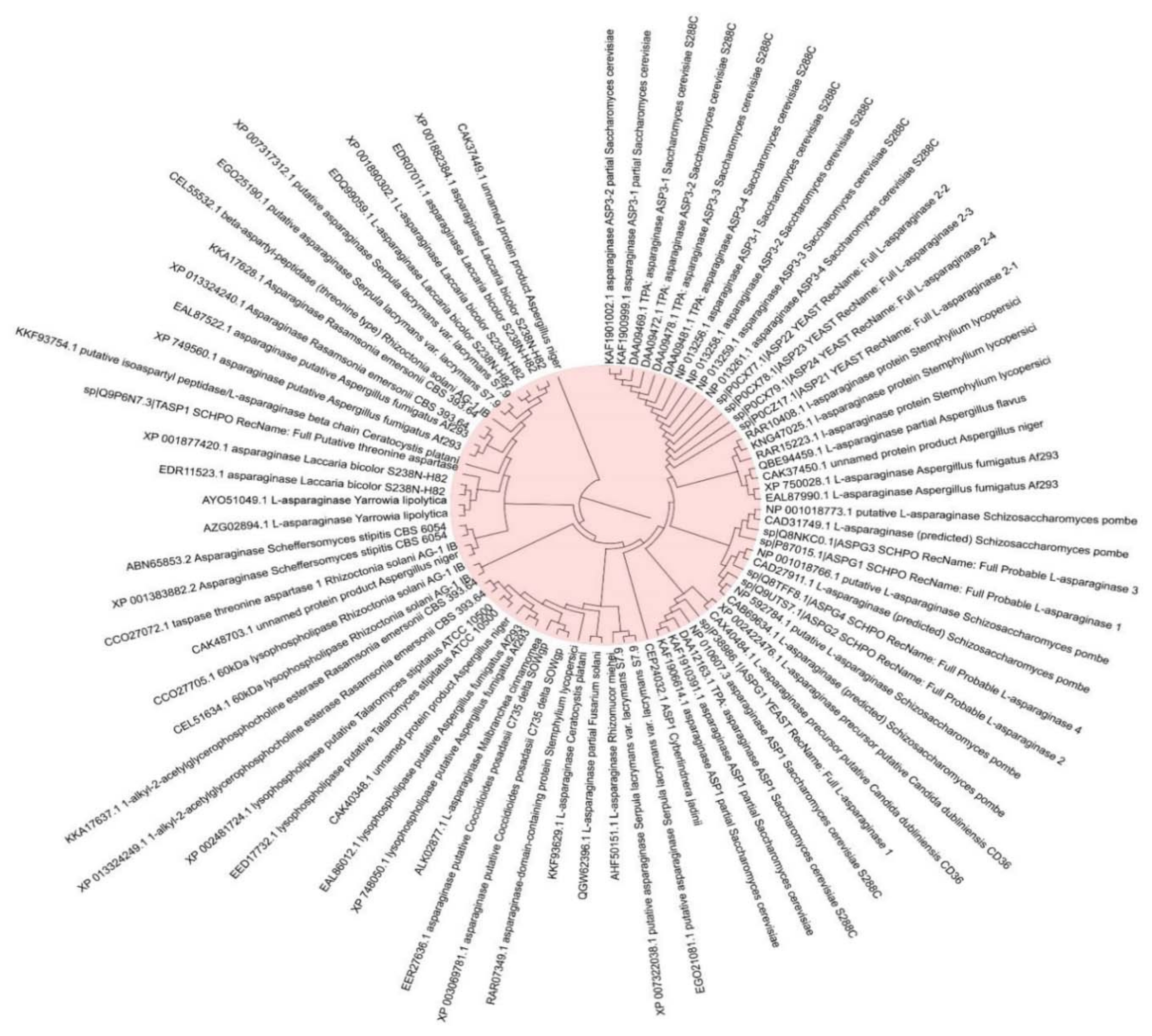 Jof 07 00436 g006 Jof 07 00436 g006