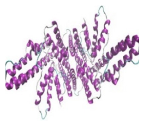 Jof 07 00436 i001 Jof 07 00436 i001