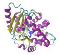 Jof 07 00436 i003 Jof 07 00436 i003