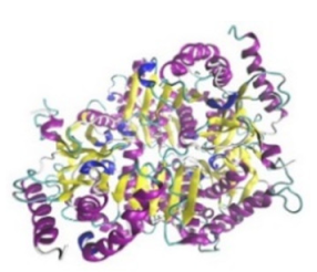 Jof 07 00436 i007 Jof 07 00436 i007