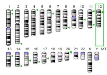 Jof 07 00436 i008 Jof 07 00436 i008