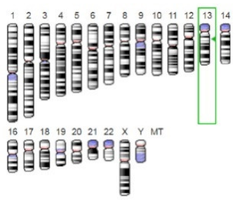 Jof 07 00436 i010 Jof 07 00436 i010