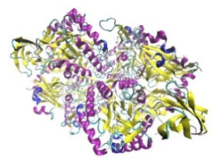 Jof 07 00436 i011 Jof 07 00436 i011