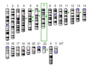 Jof 07 00436 i012 Jof 07 00436 i012