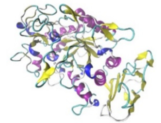 Jof 07 00436 i013 Jof 07 00436 i013