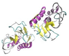 Jof 07 00436 i015 Jof 07 00436 i015