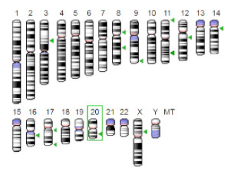 Jof 07 00436 i016 Jof 07 00436 i016