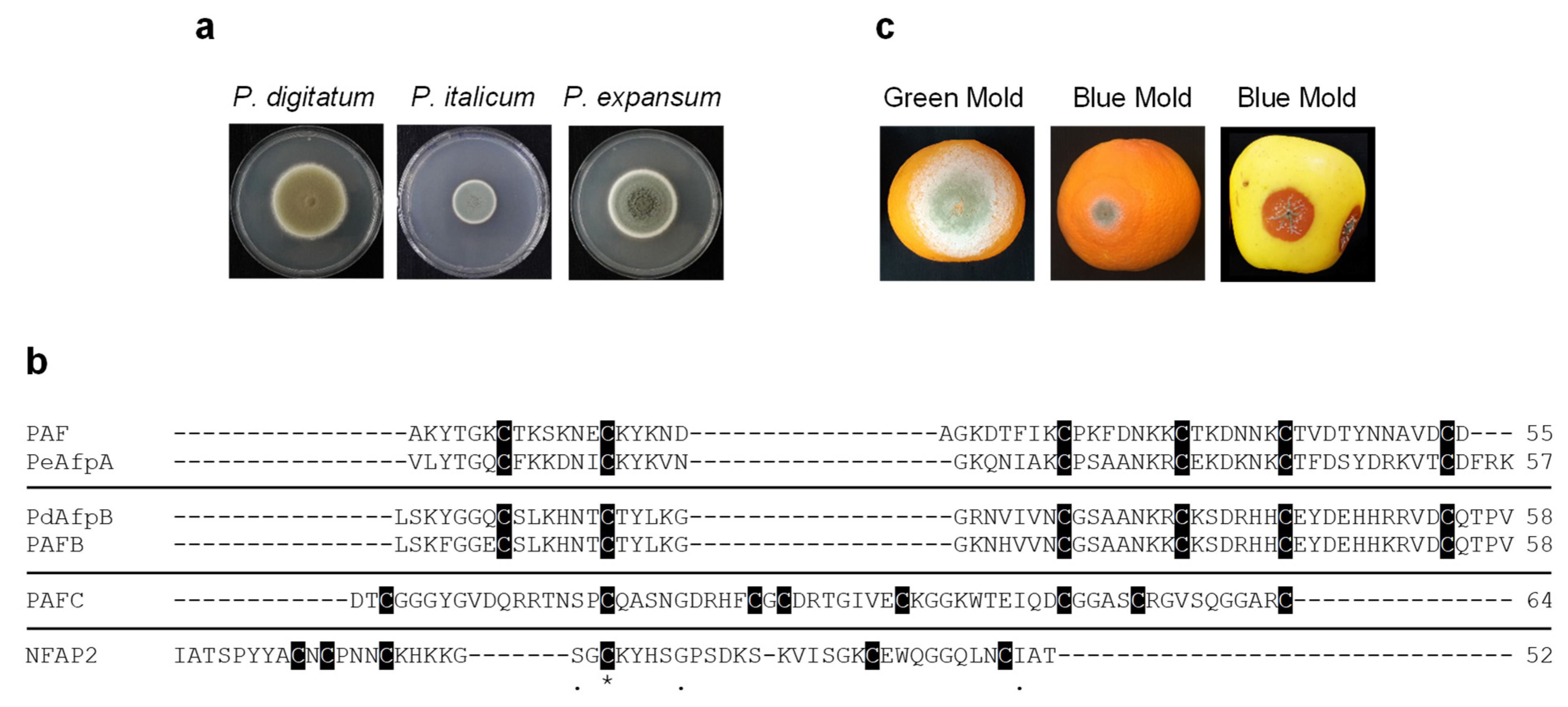 Jof 07 00449 g001 Jof 07 00449 g001