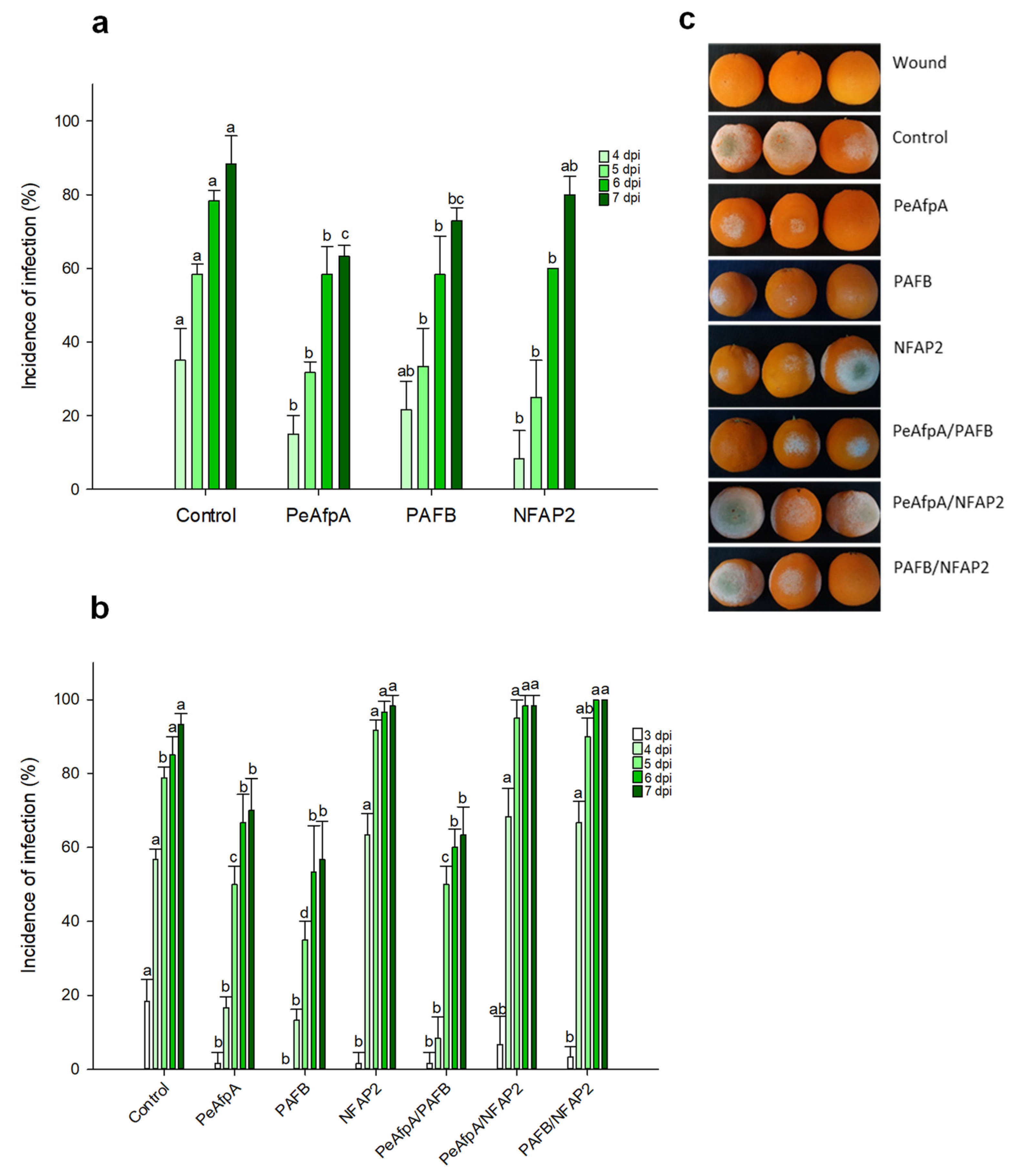 Jof 07 00449 g002 Jof 07 00449 g002