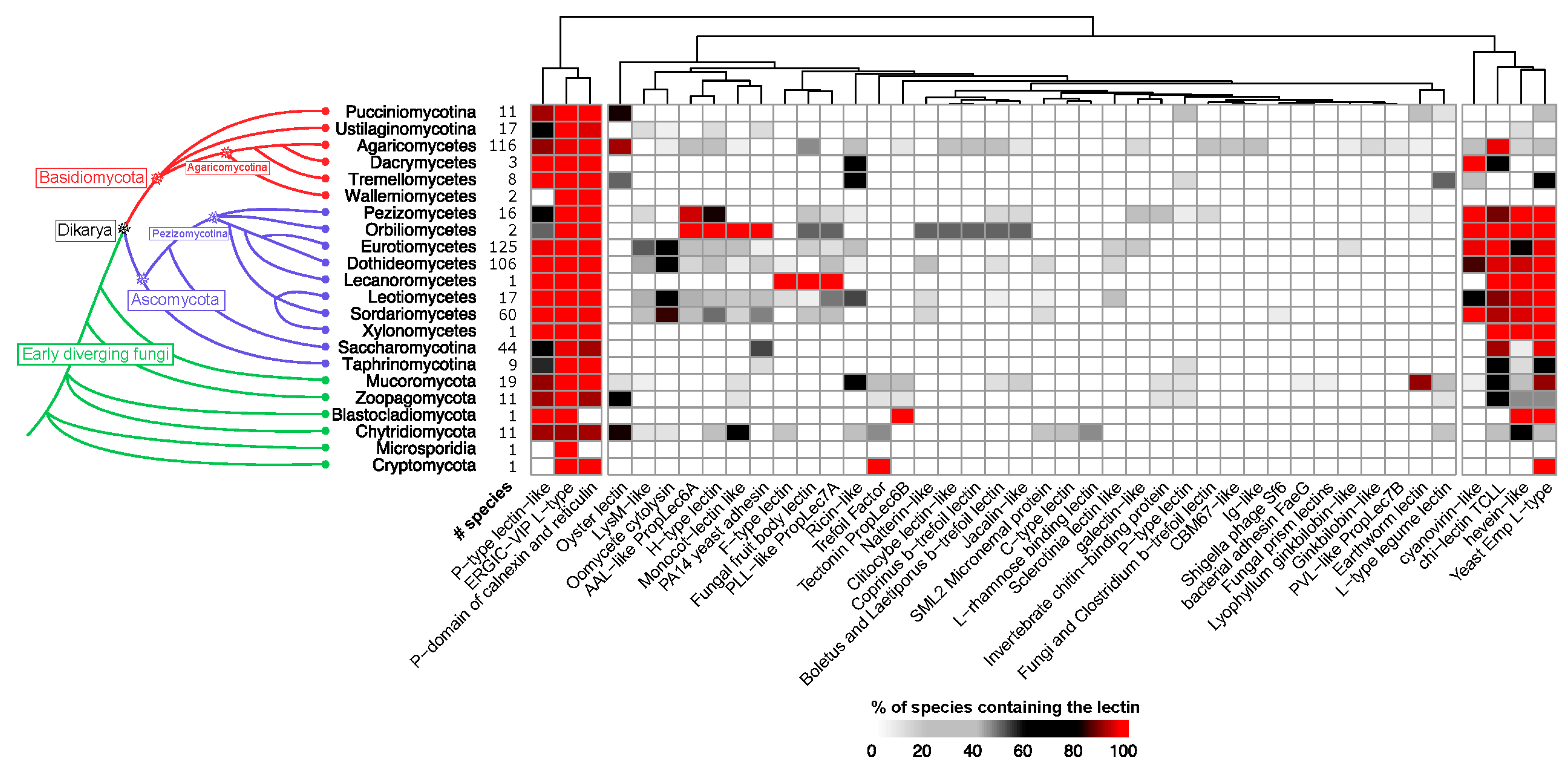 Jof 07 00453 g004 Jof 07 00453 g004
