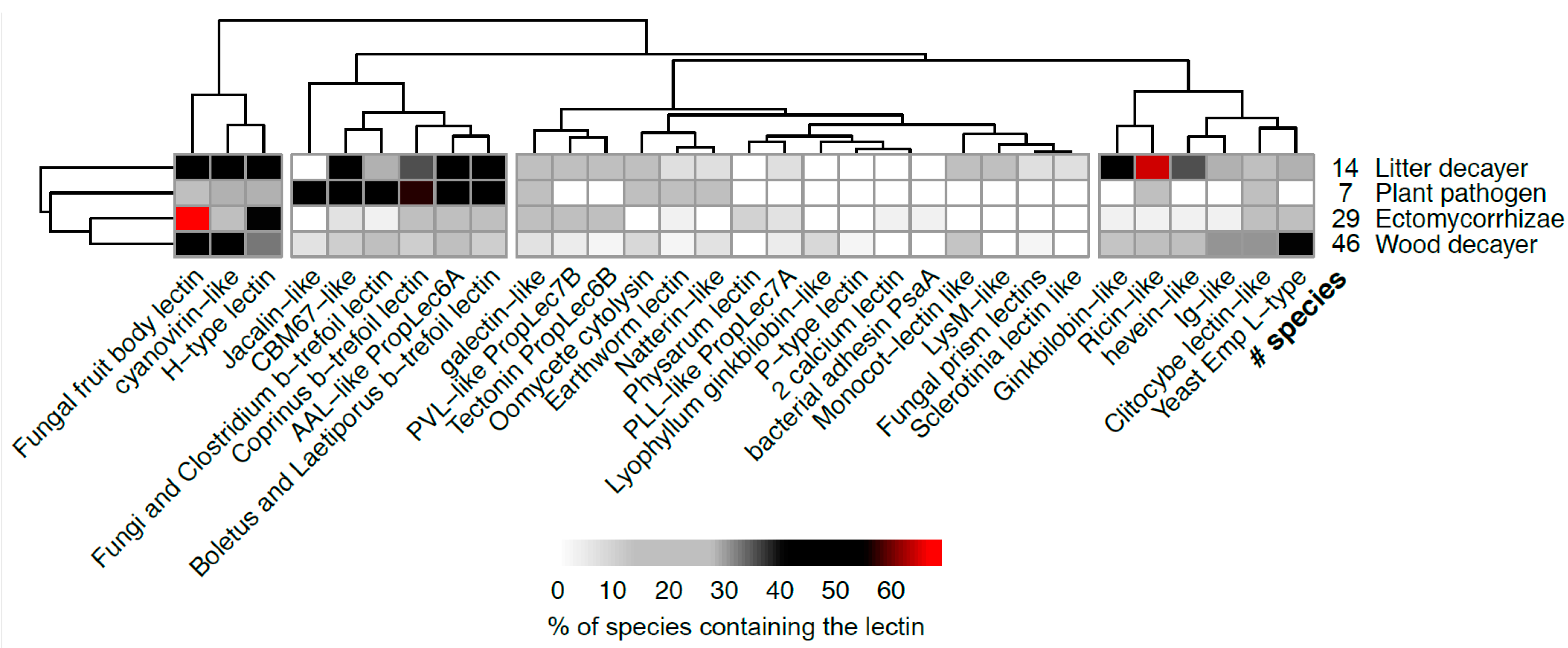 Jof 07 00453 g005 Jof 07 00453 g005
