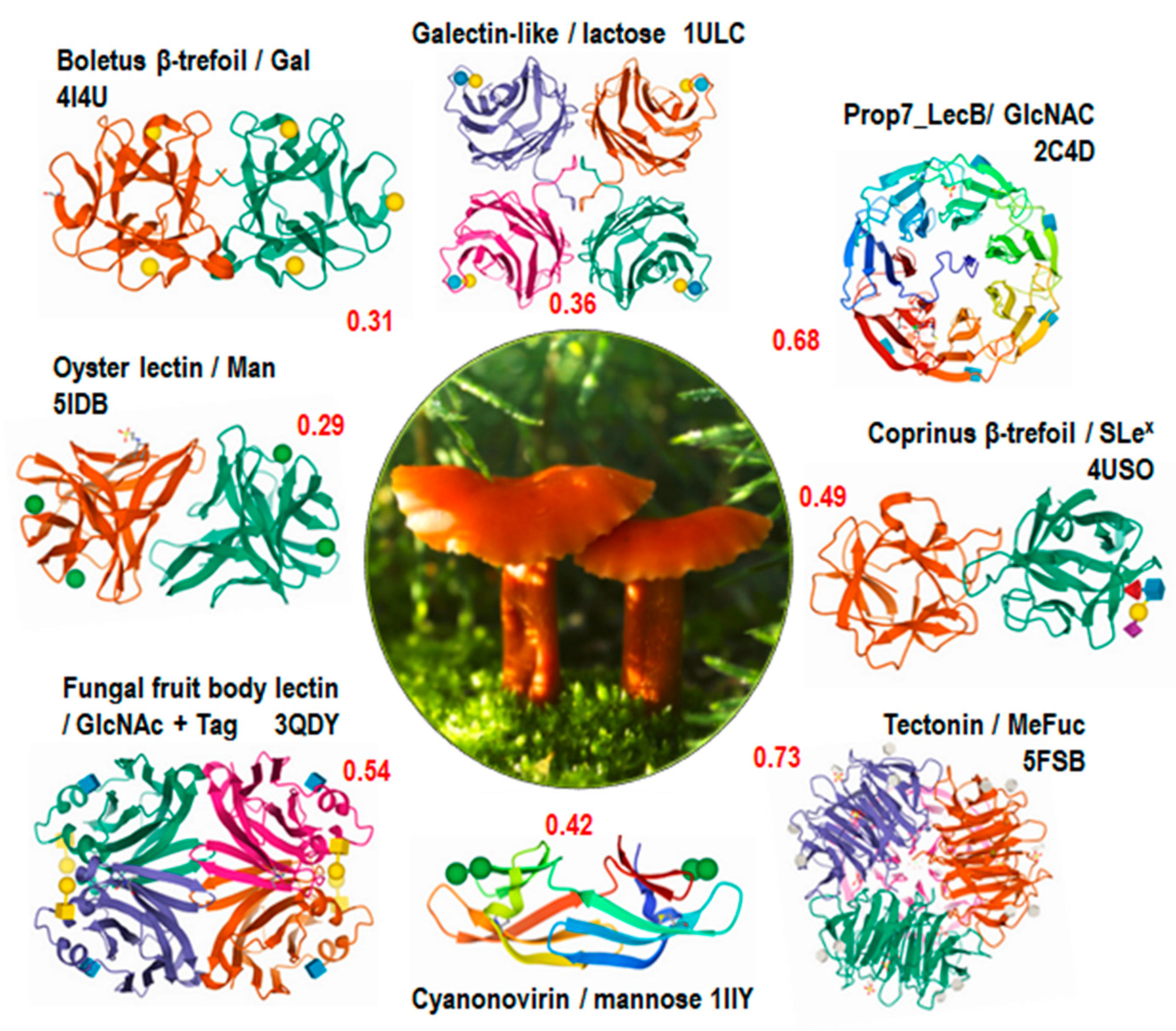 Jof 07 00453 g006 Jof 07 00453 g006