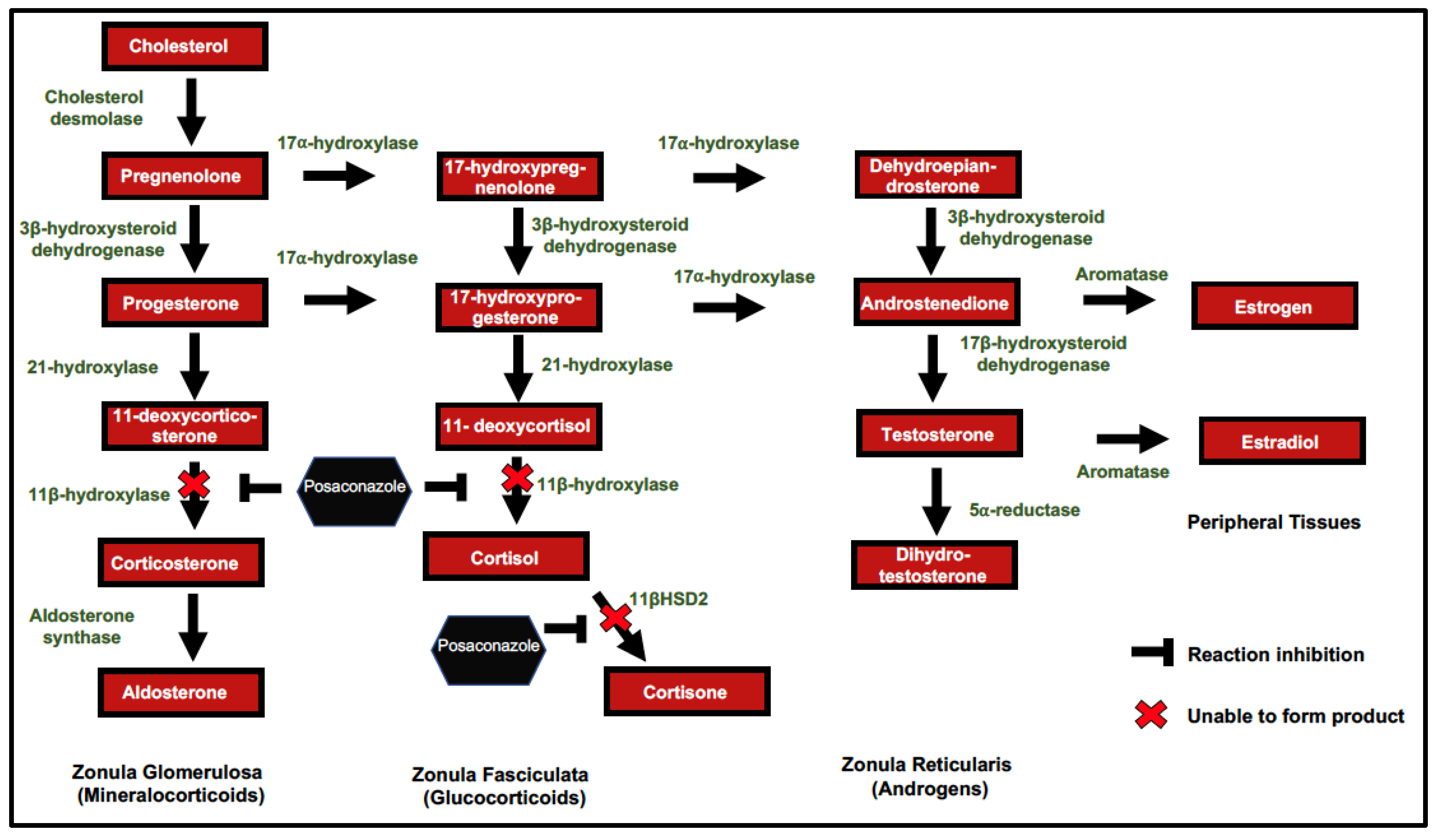 Jof 07 00620 g001 Jof 07 00620 g001