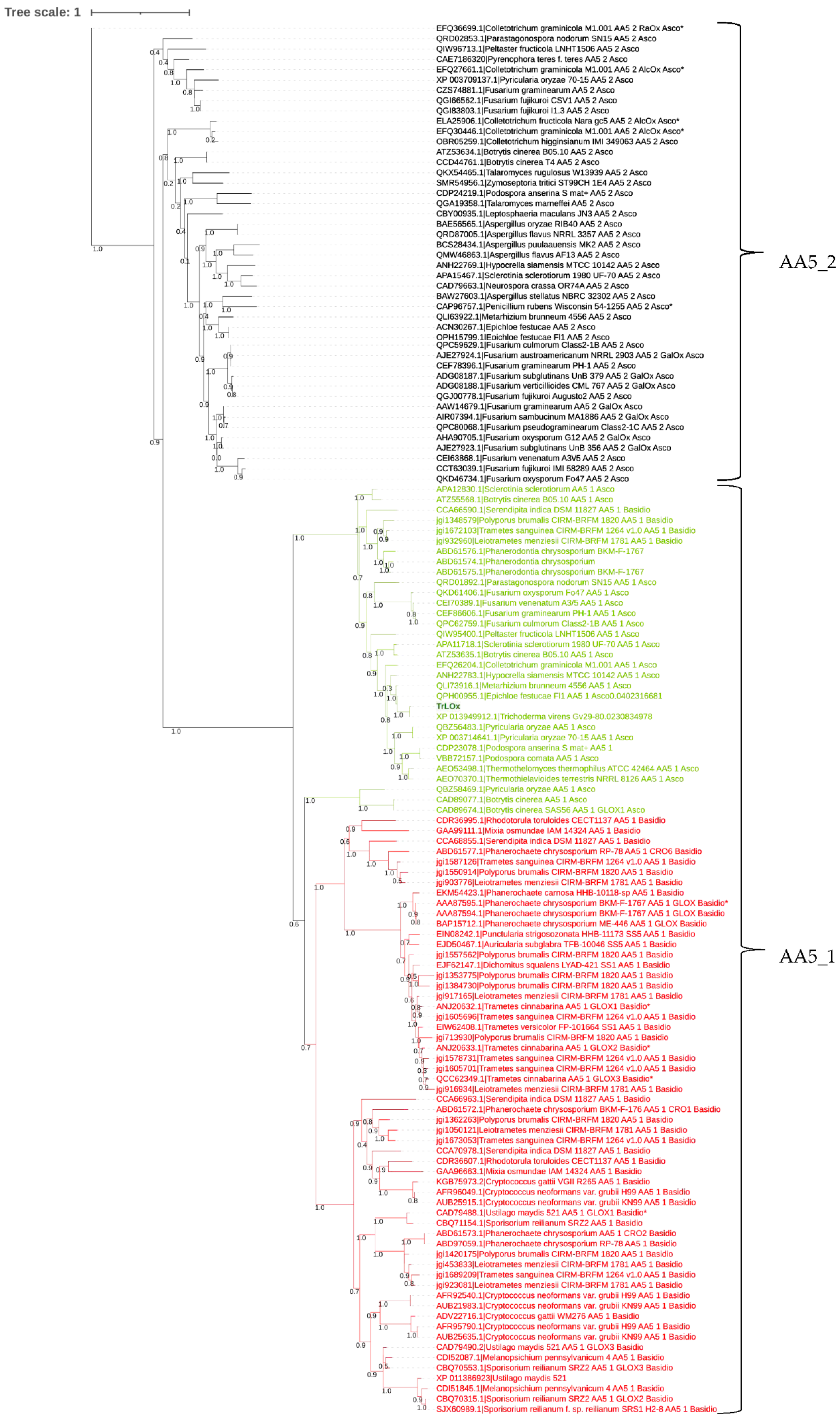 Jof 07 00643 g003 Jof 07 00643 g003