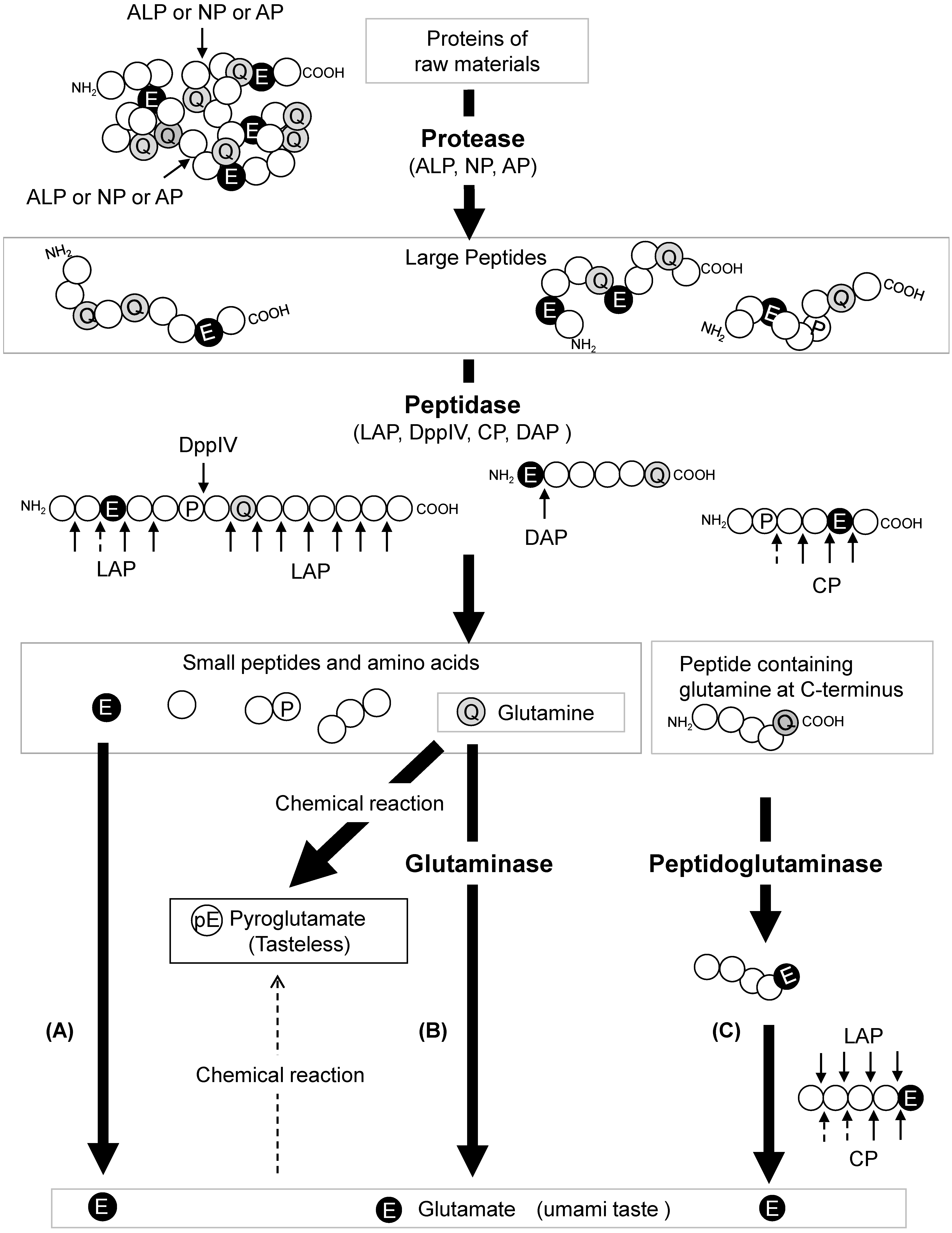 Jof 07 00658 g002 Jof 07 00658 g002