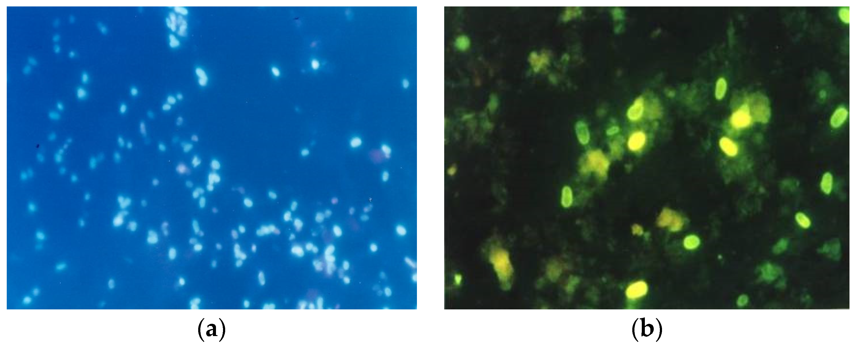 Jof 07 00714 g005 Jof 07 00714 g005