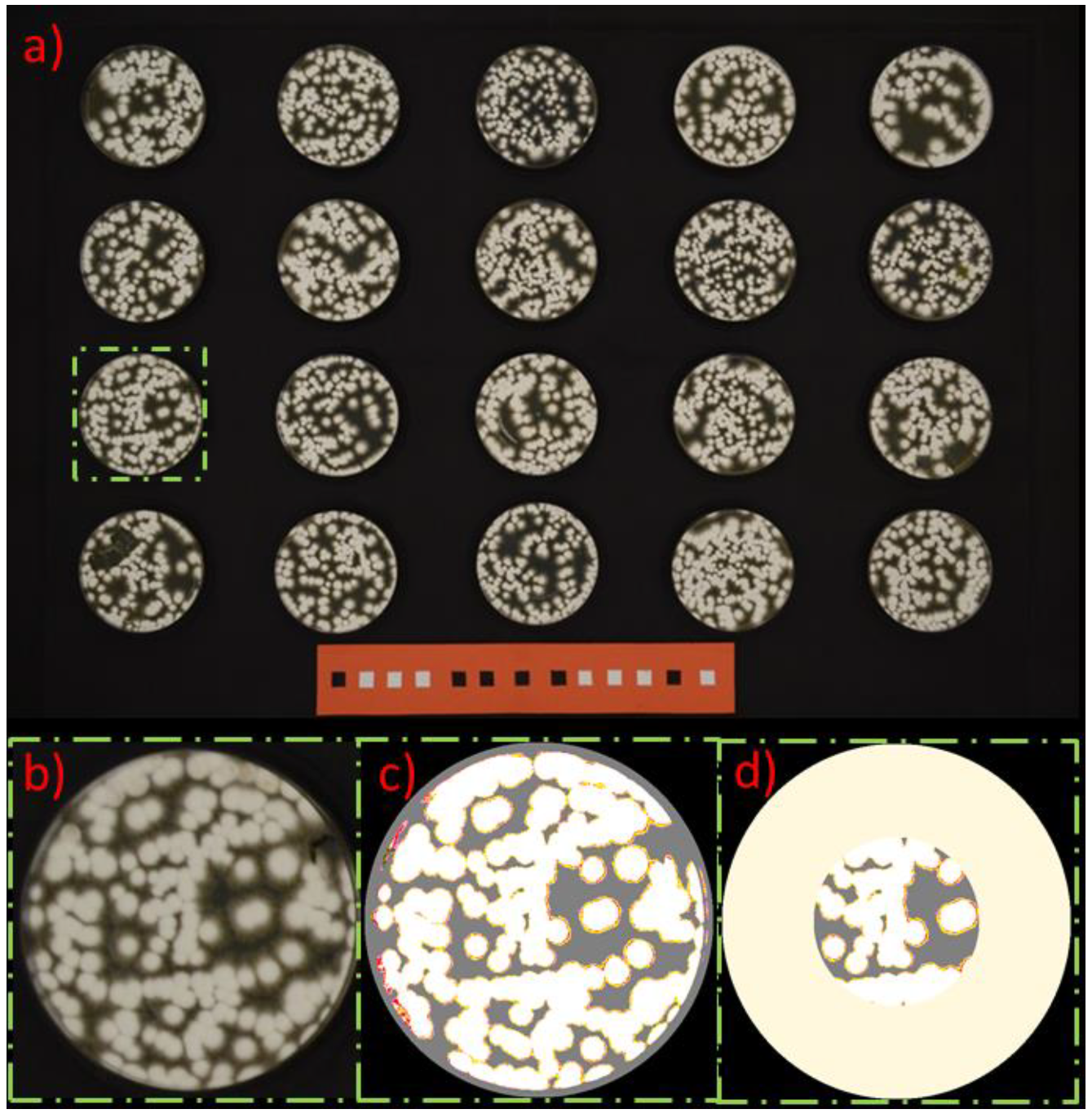 Jof 07 00715 g003 Jof 07 00715 g003