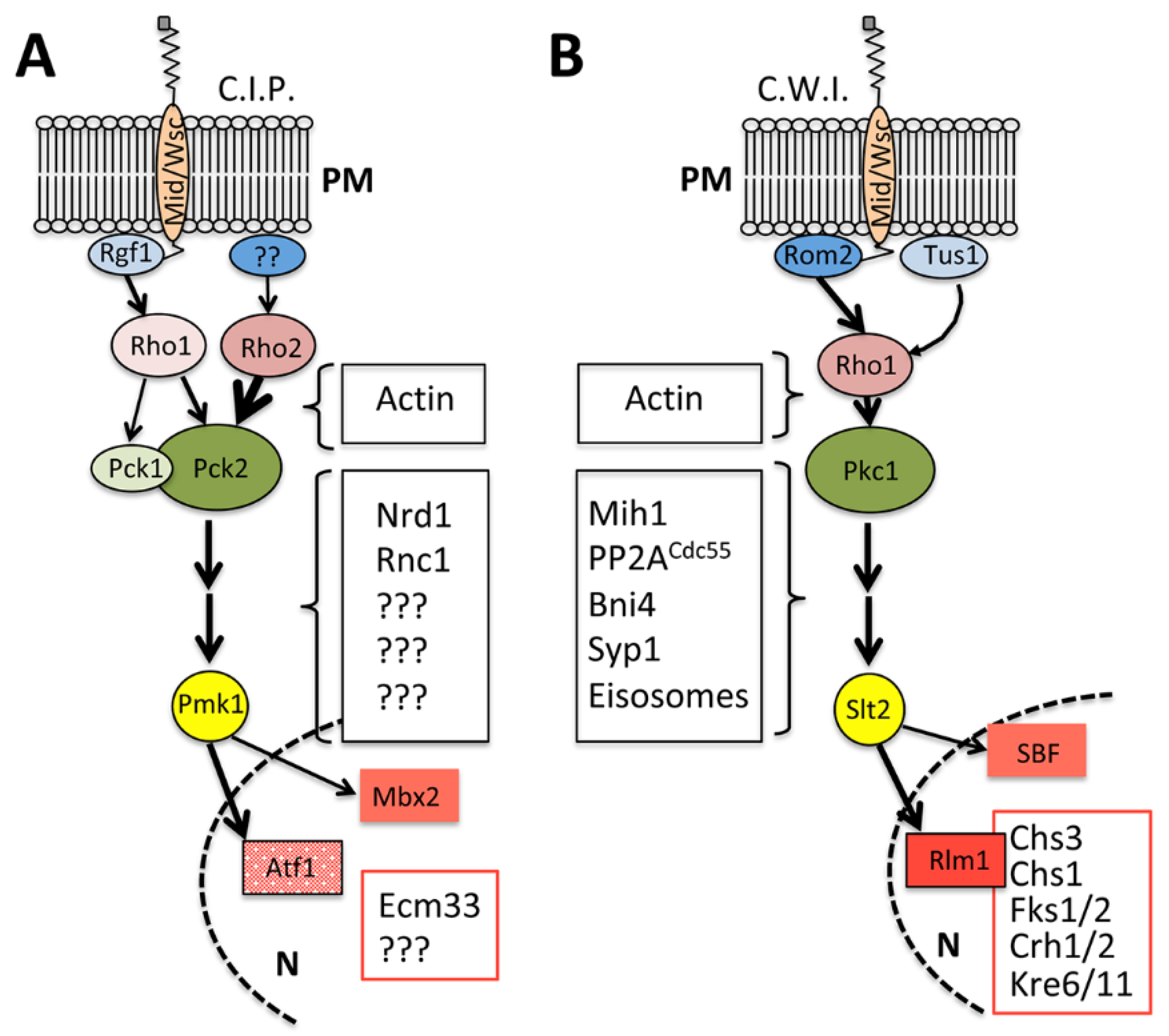 Jof 07 00729 g001 Jof 07 00729 g001
