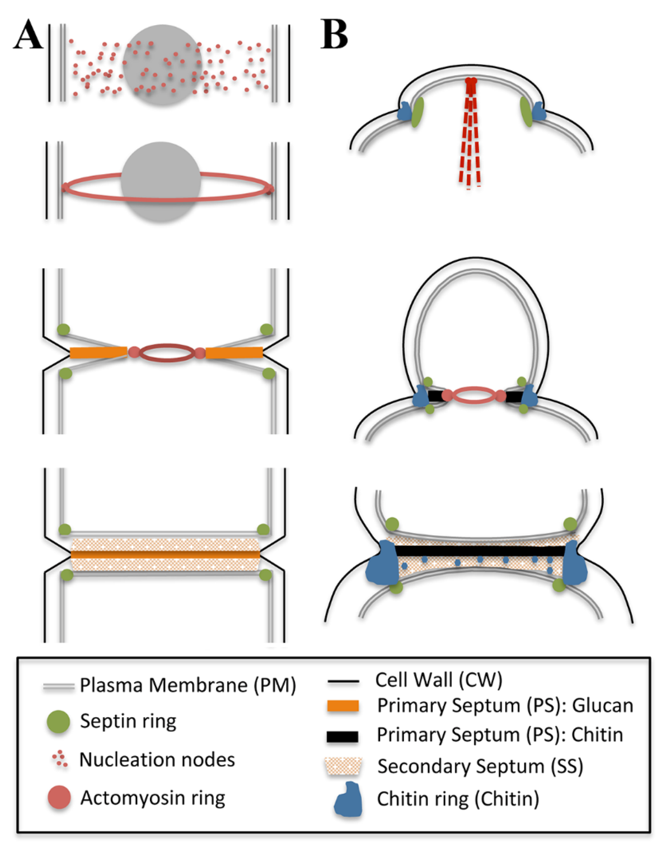 Jof 07 00729 g002 Jof 07 00729 g002