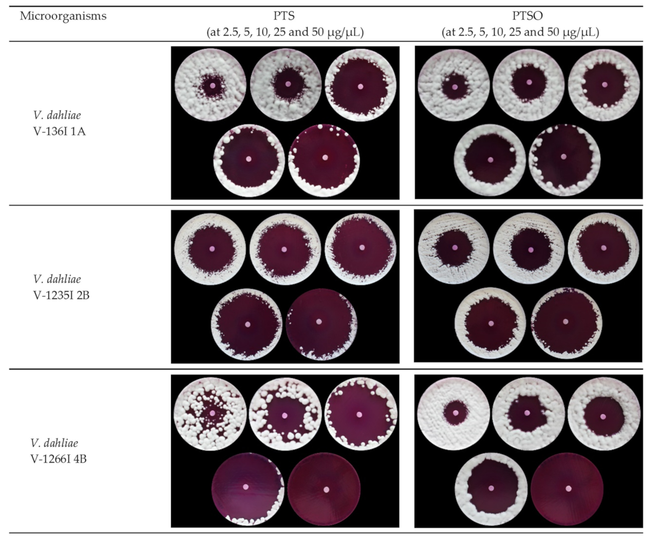 Jof 07 00736 g001 Jof 07 00736 g001