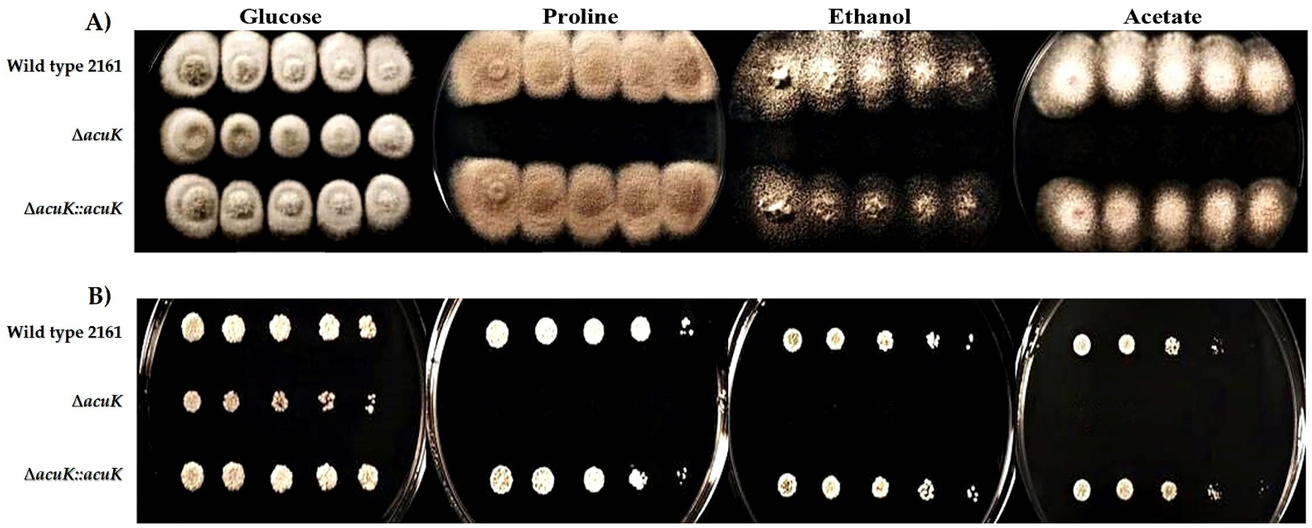 Jof 07 00798 g006 Jof 07 00798 g006