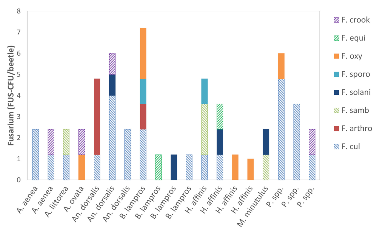 Jof 07 00863 g004 Jof 07 00863 g004