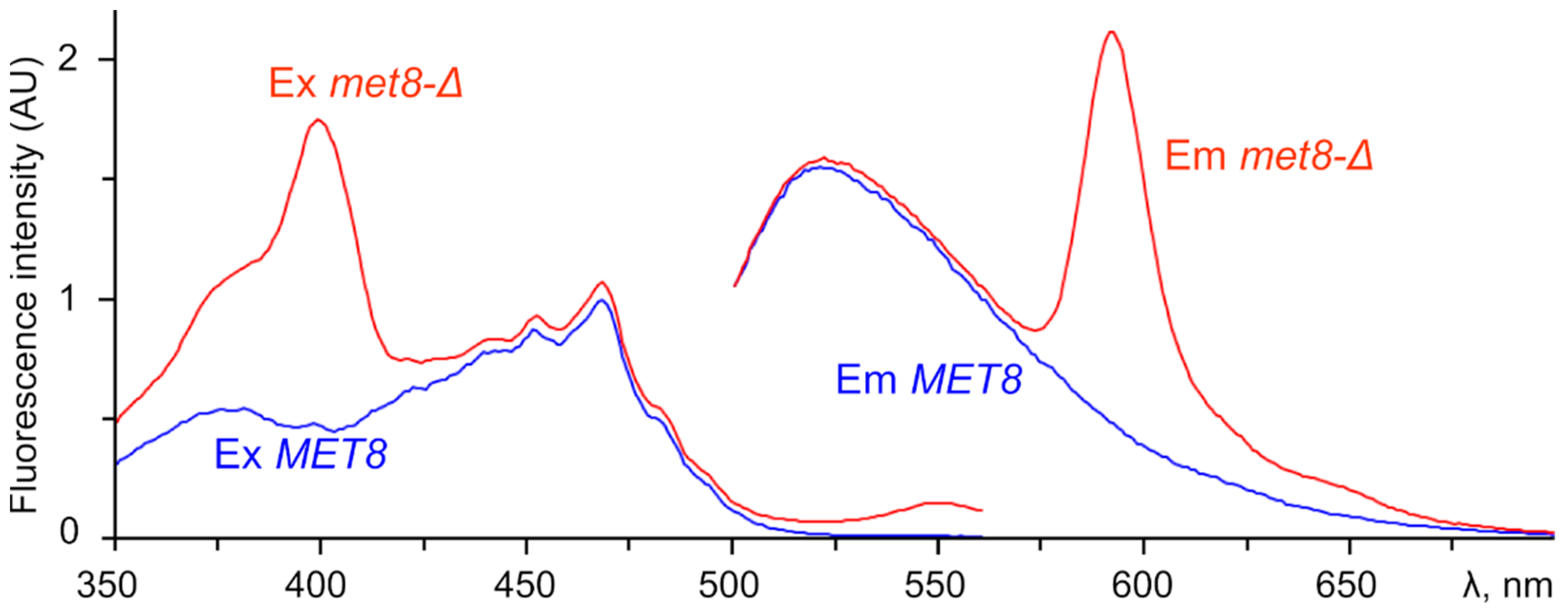 Jof 07 00884 g004 Jof 07 00884 g004